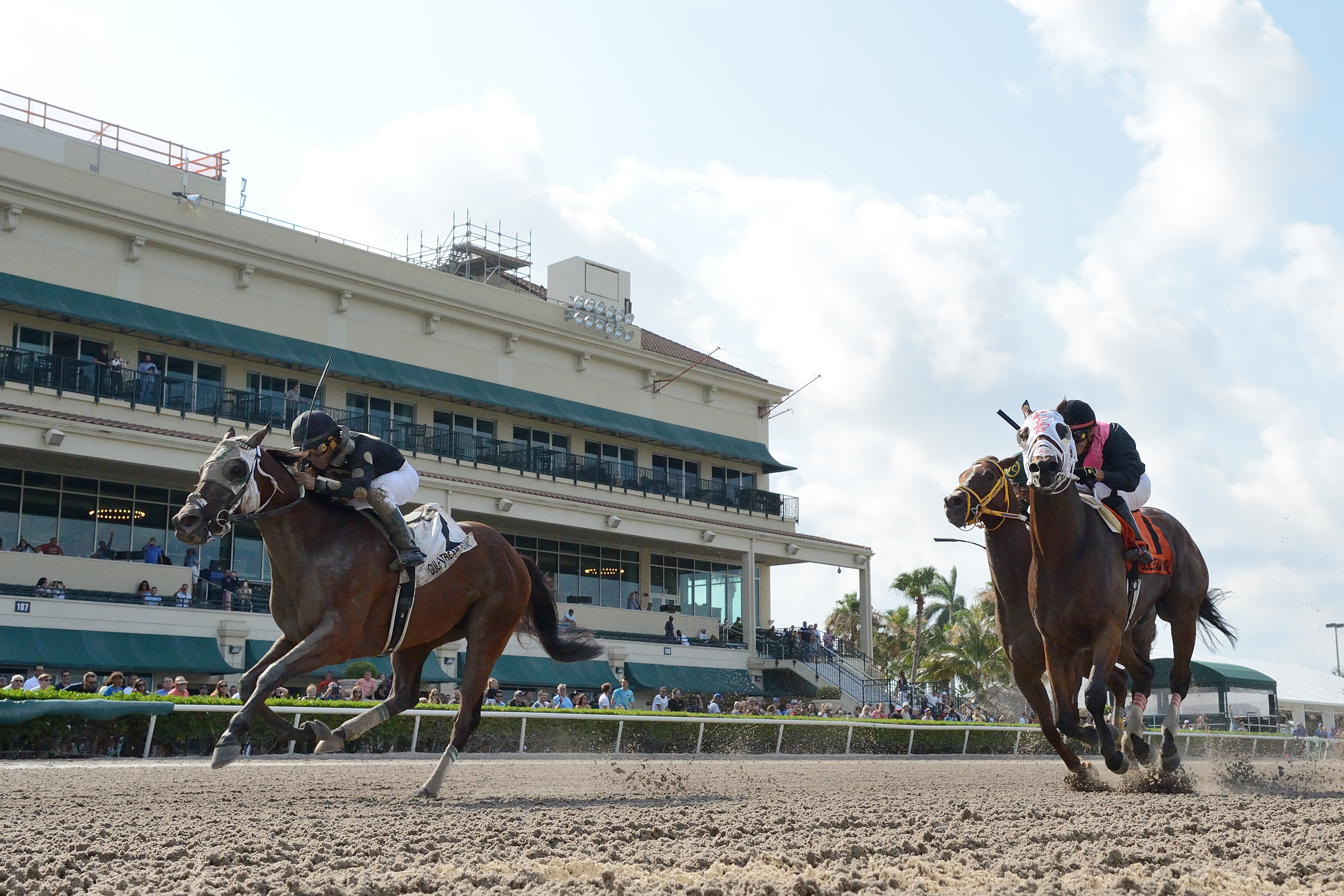 Fast Pass wins the 2019 Opening Lead Stakes