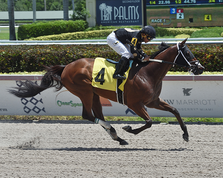 Fast Pass wins a July 31 claiming race at Gulfstream Park