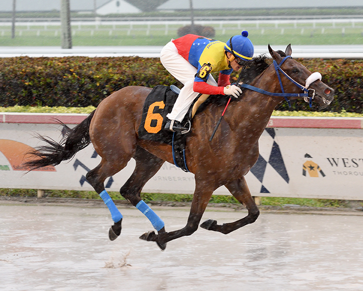 Fast Venezuela wins an Aug. 3 maiden race at Gulfstream Park