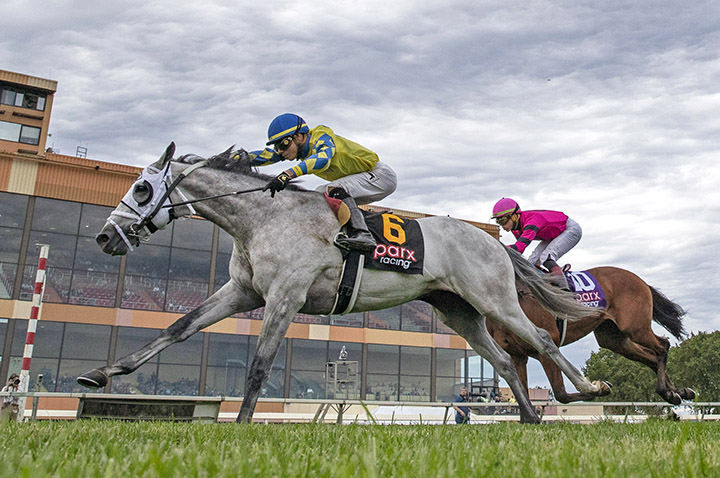 Fast and Accurate wins the 2018 Alphabet Soup Stakes