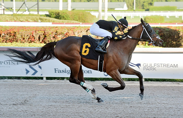 Fast Pass wins a Jan. 1 optional claiming race at Gulfstream Park