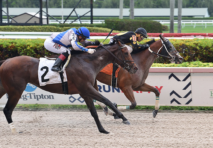 Fast Pass (inside) wins an allowance race at Gulfstream Park on May 21