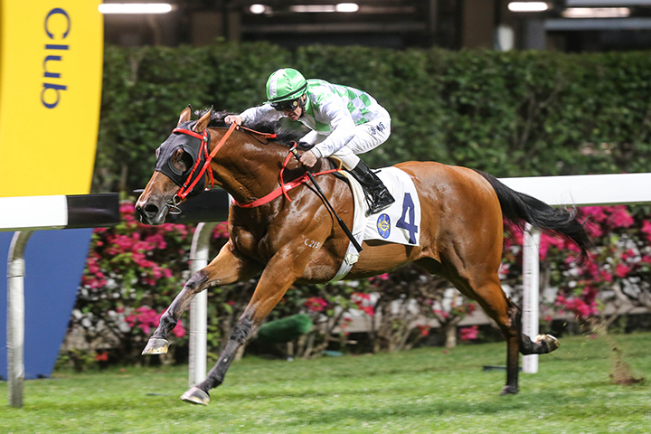 Fat Turtle wins the Matheson Handicap