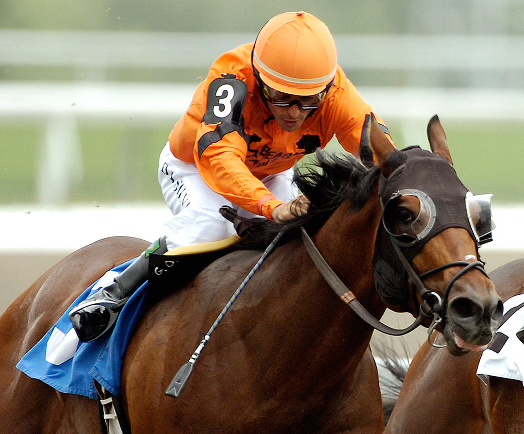 Fatal Bullet wins the 2008 Bold Venture Stakes at Woodbine