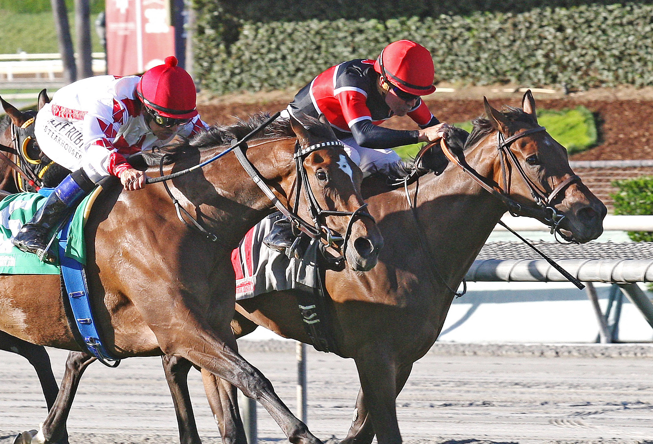 Fatale Bere wins the 2017 Surfer Girl Stakes