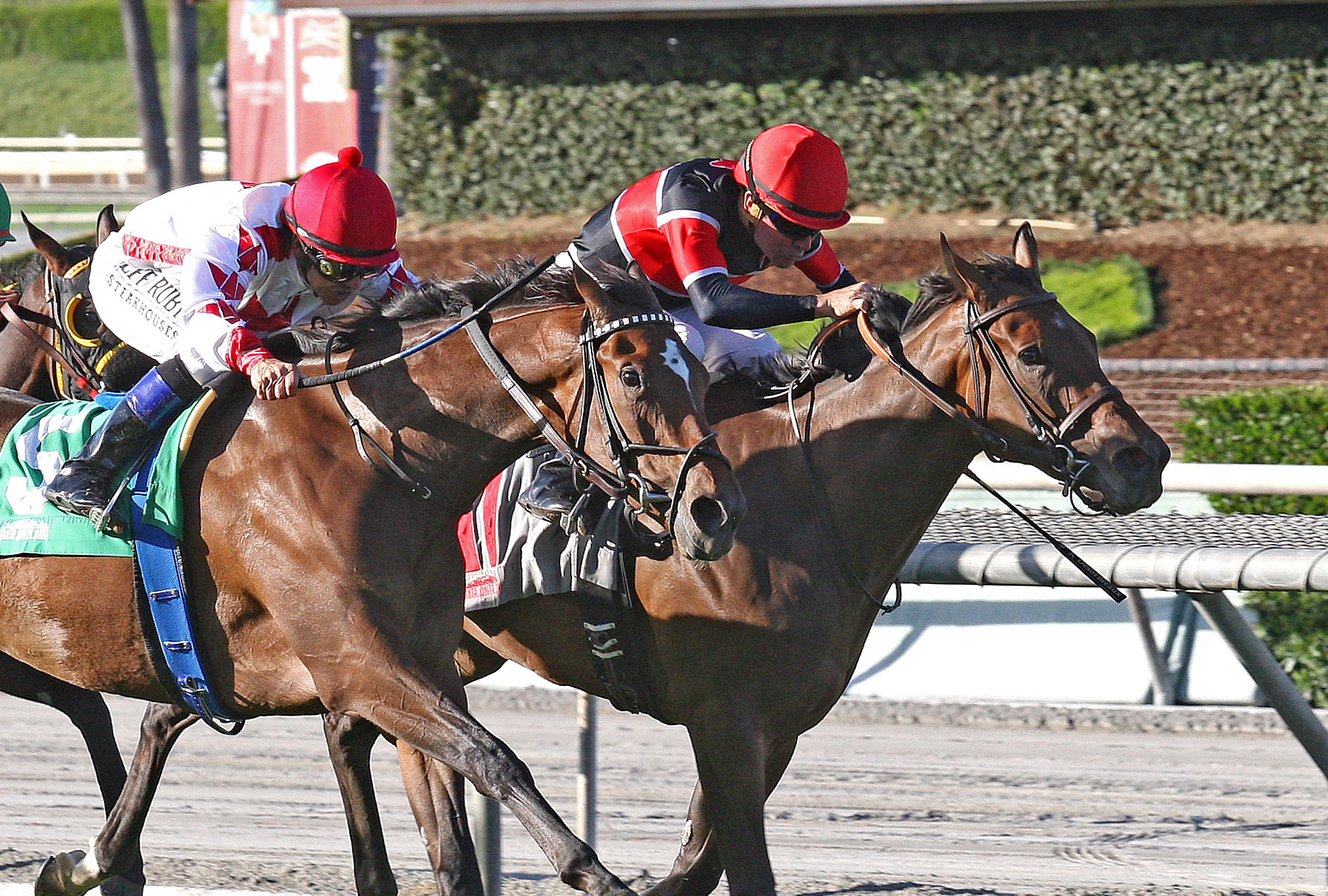 Fatale Bere wins the 2017 Surfer Girl Stakes