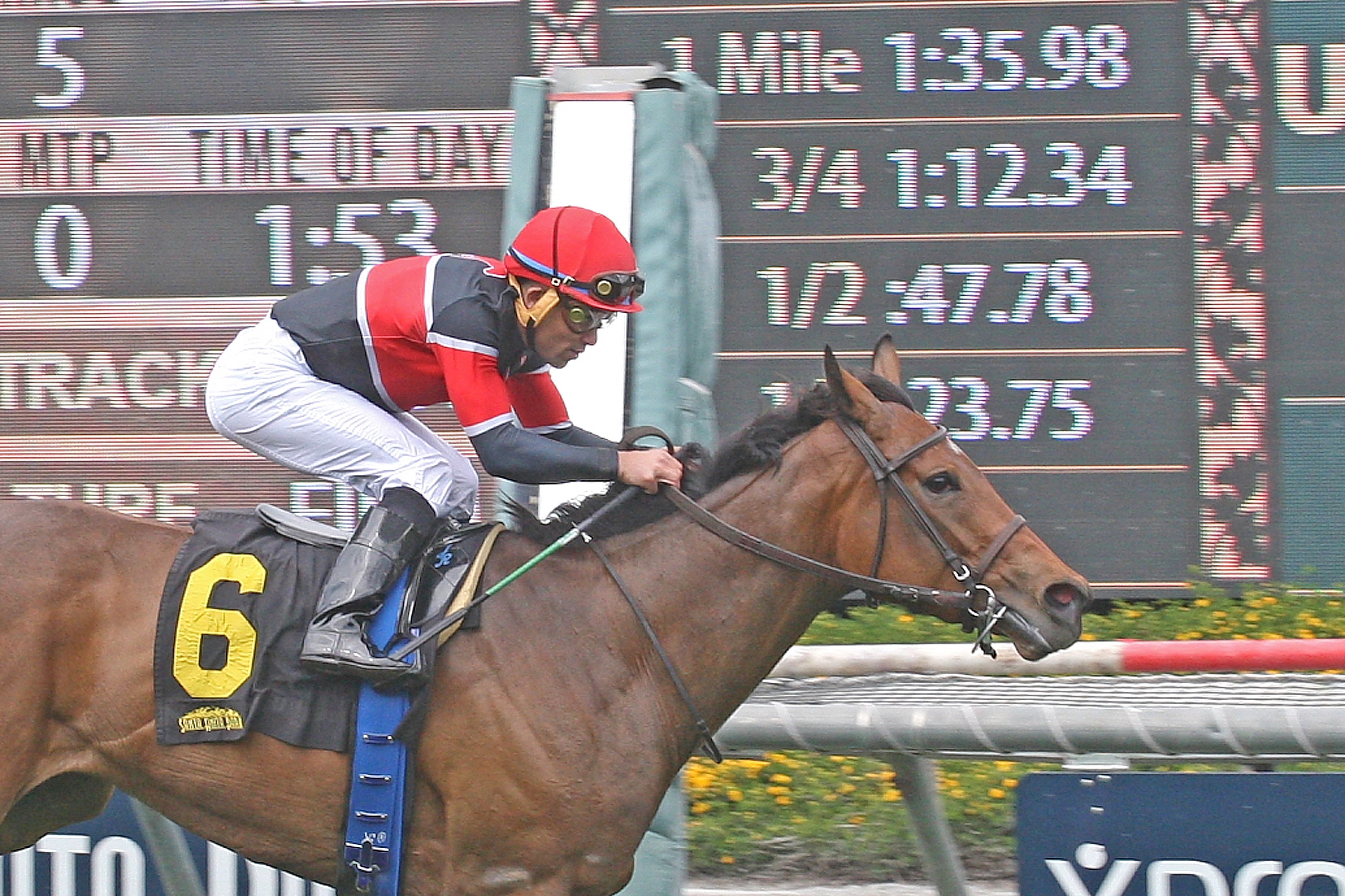 Fatale Bere wins the 2018 Providencia Stakes