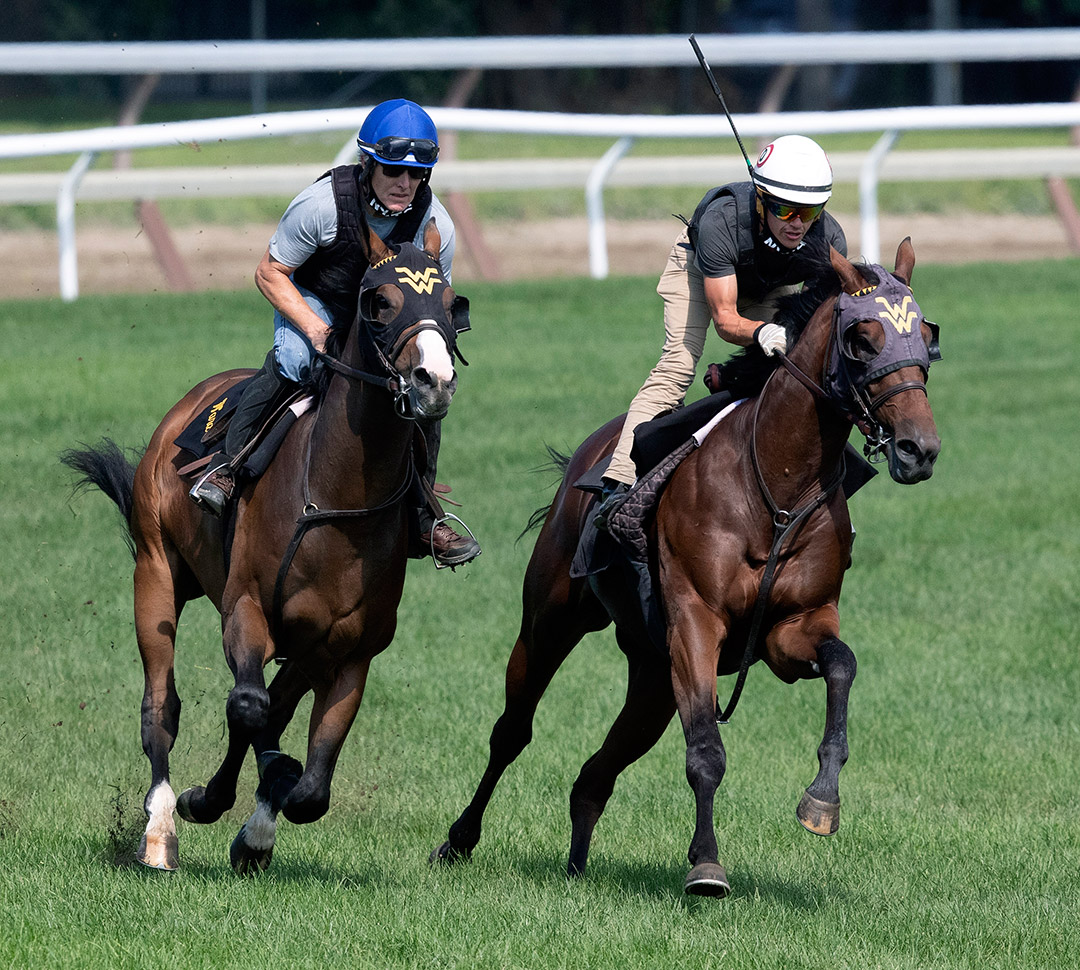 Fauci (left) and Golden Pal train at Saratoga Race Course in August 2020