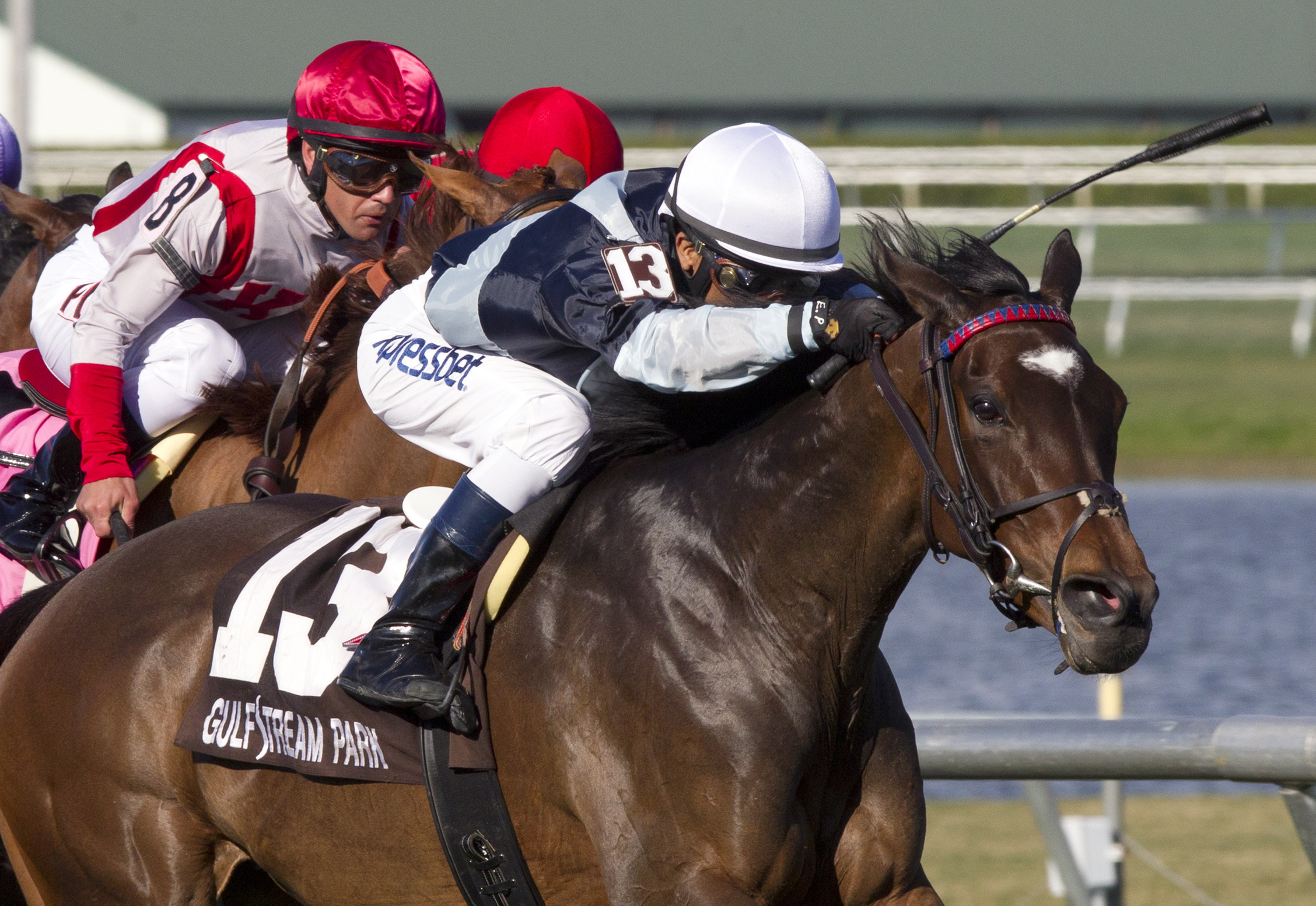 Faulfiler wins the Sand Springs Stakes