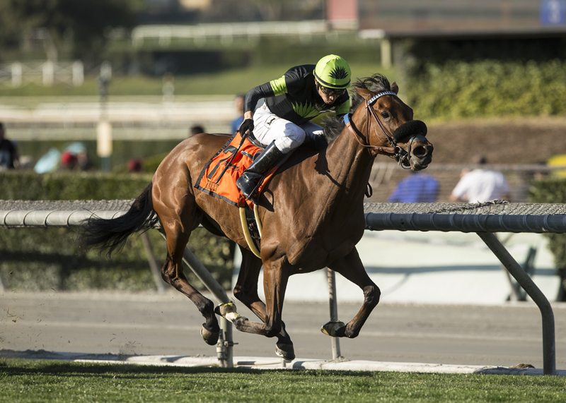 Fault wins 2018 Buena Vista Stakes