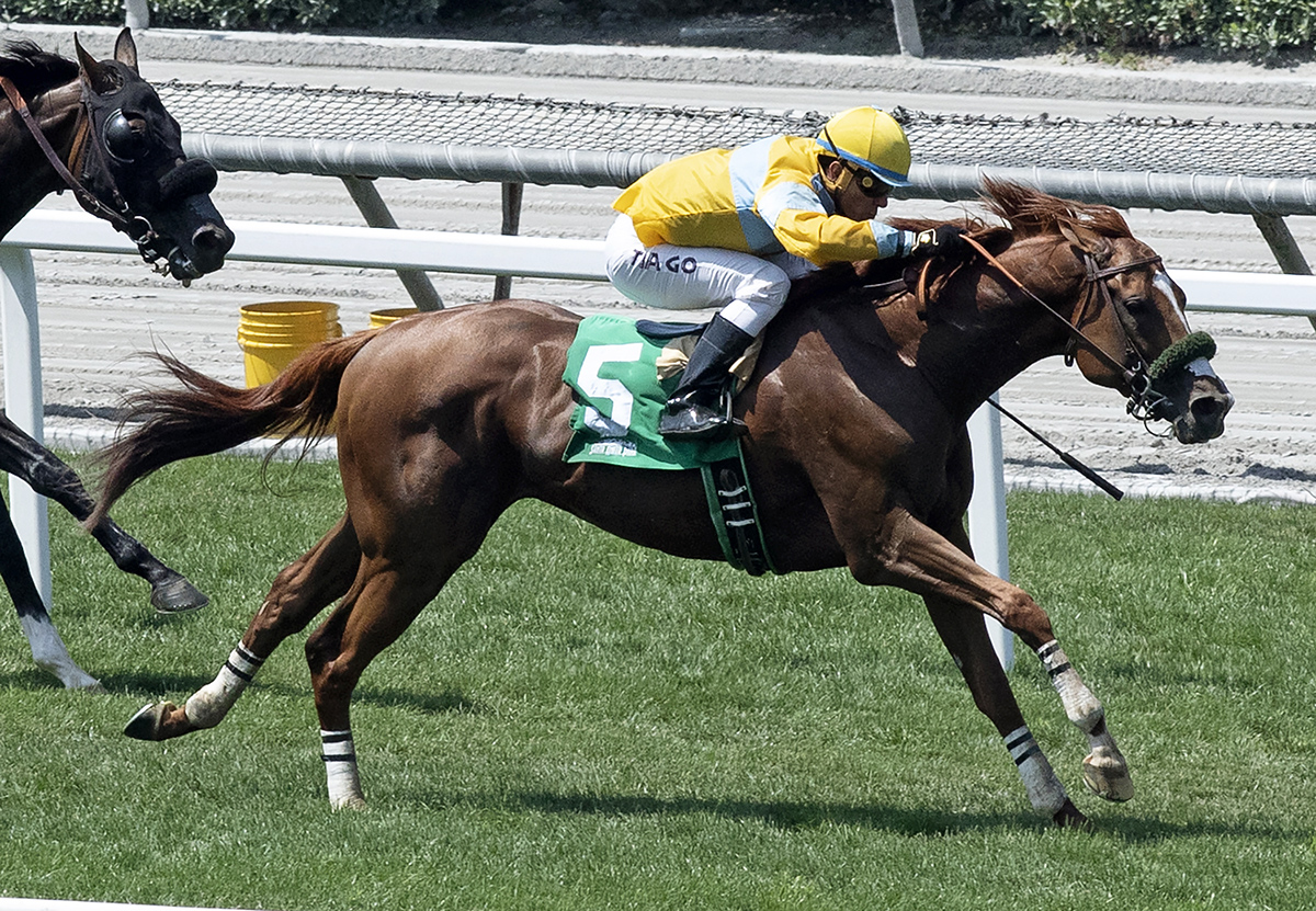 Faversham wins a June 21 maiden race