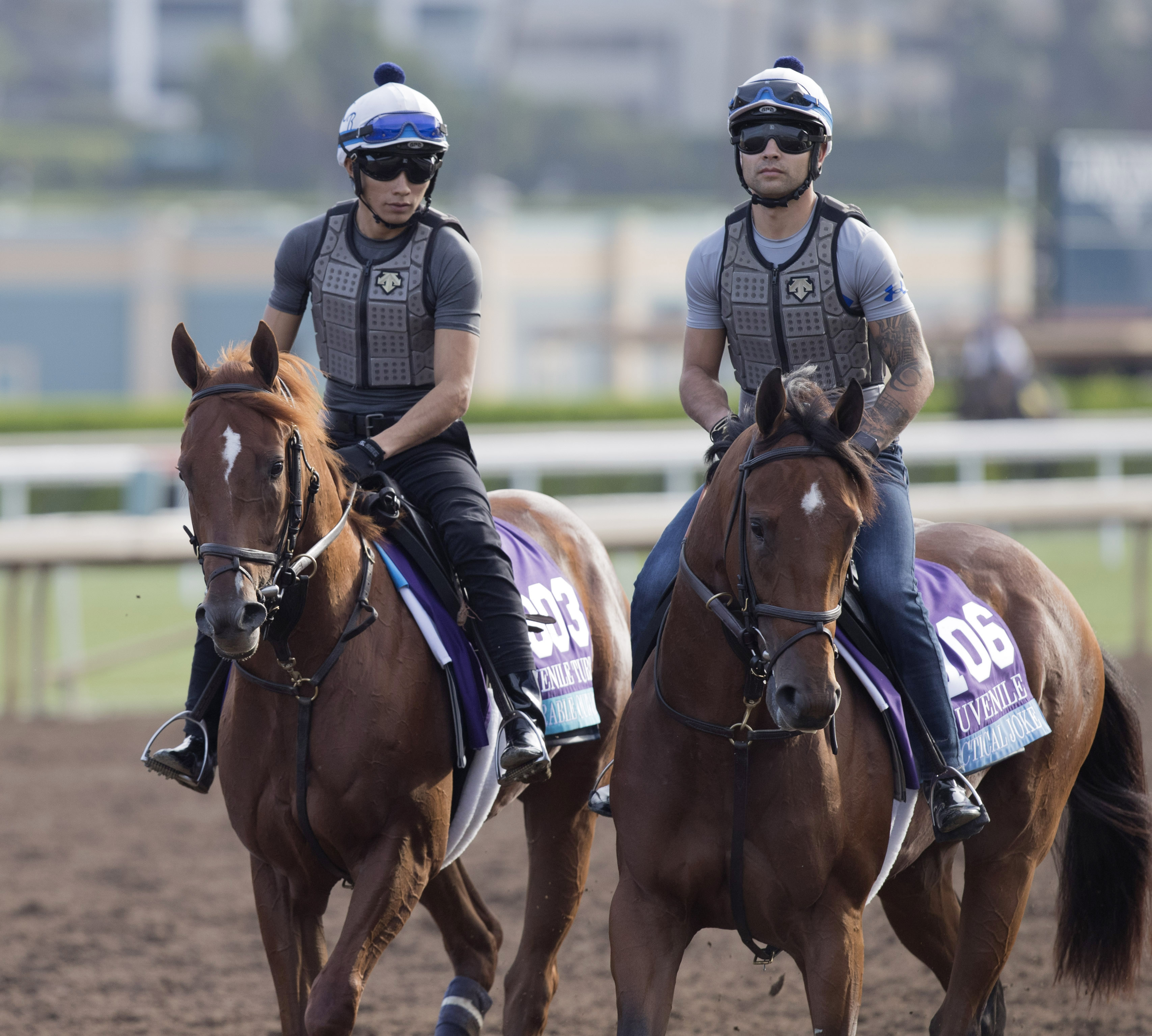 Favorable Outcome and Practical Joke at Santa Anita on Oct. 31