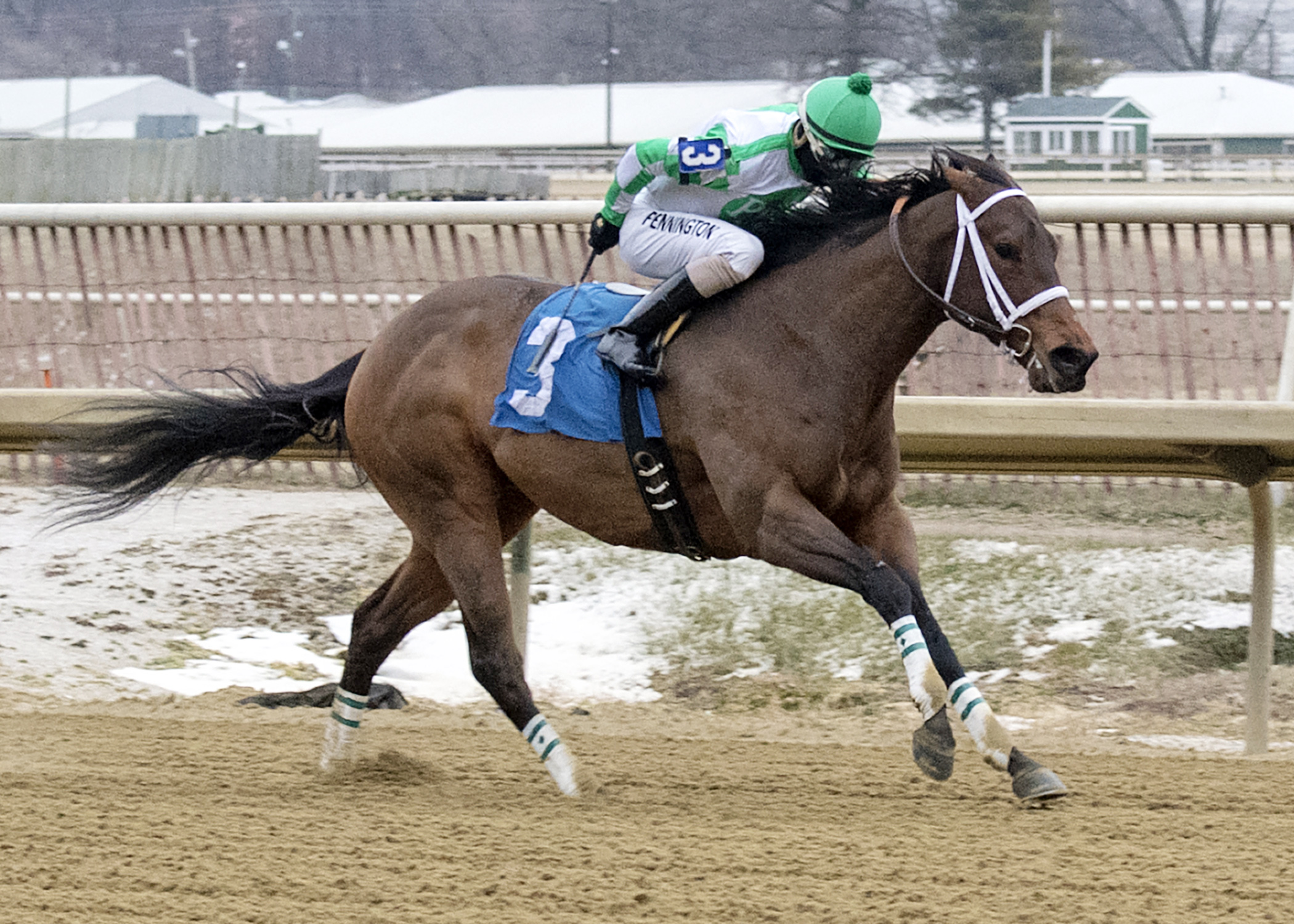Favorite Tale wins the 2018 Dave's Friend Stakes