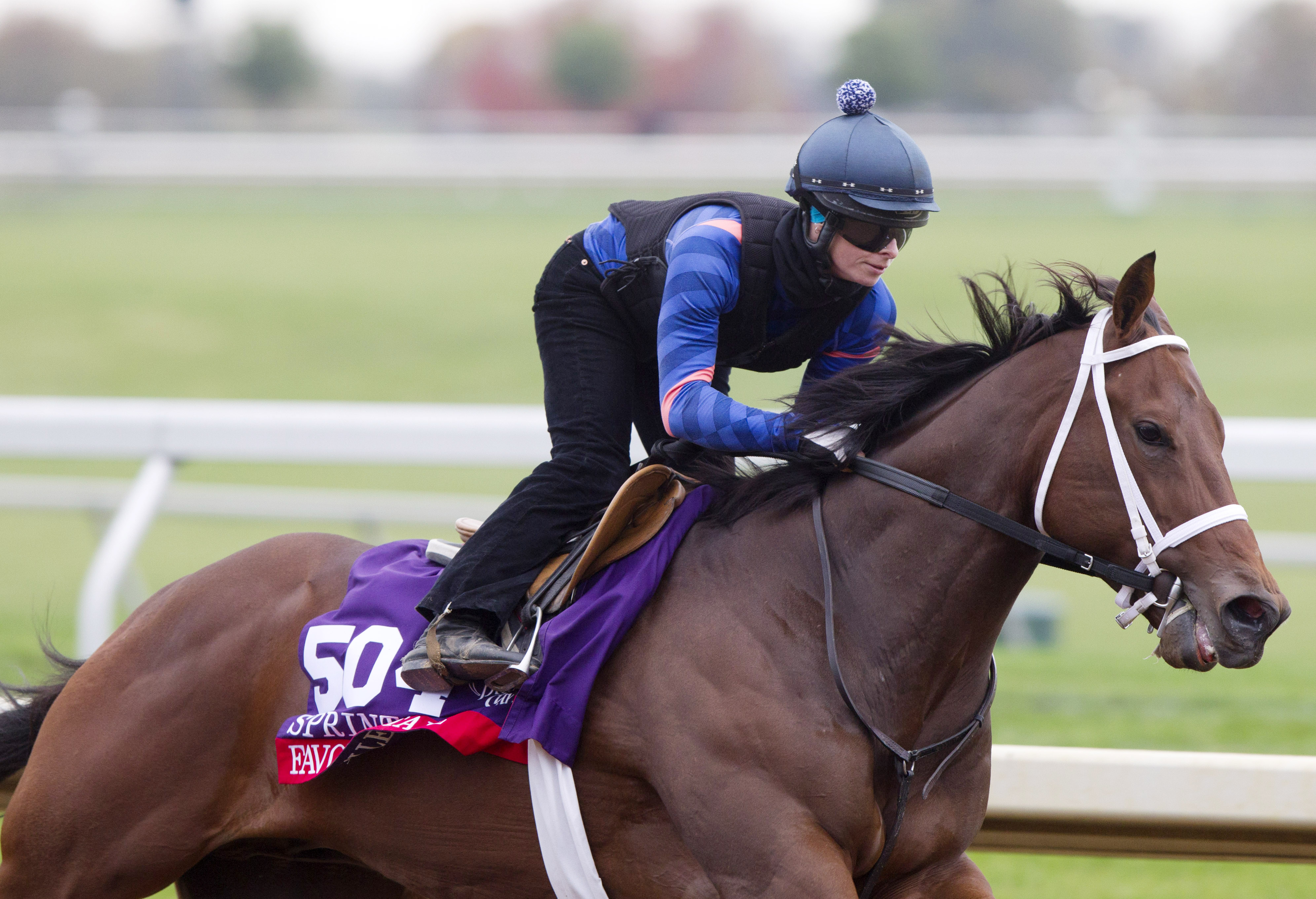 Favorite Tale breezes at Keeneland on Oct. 26