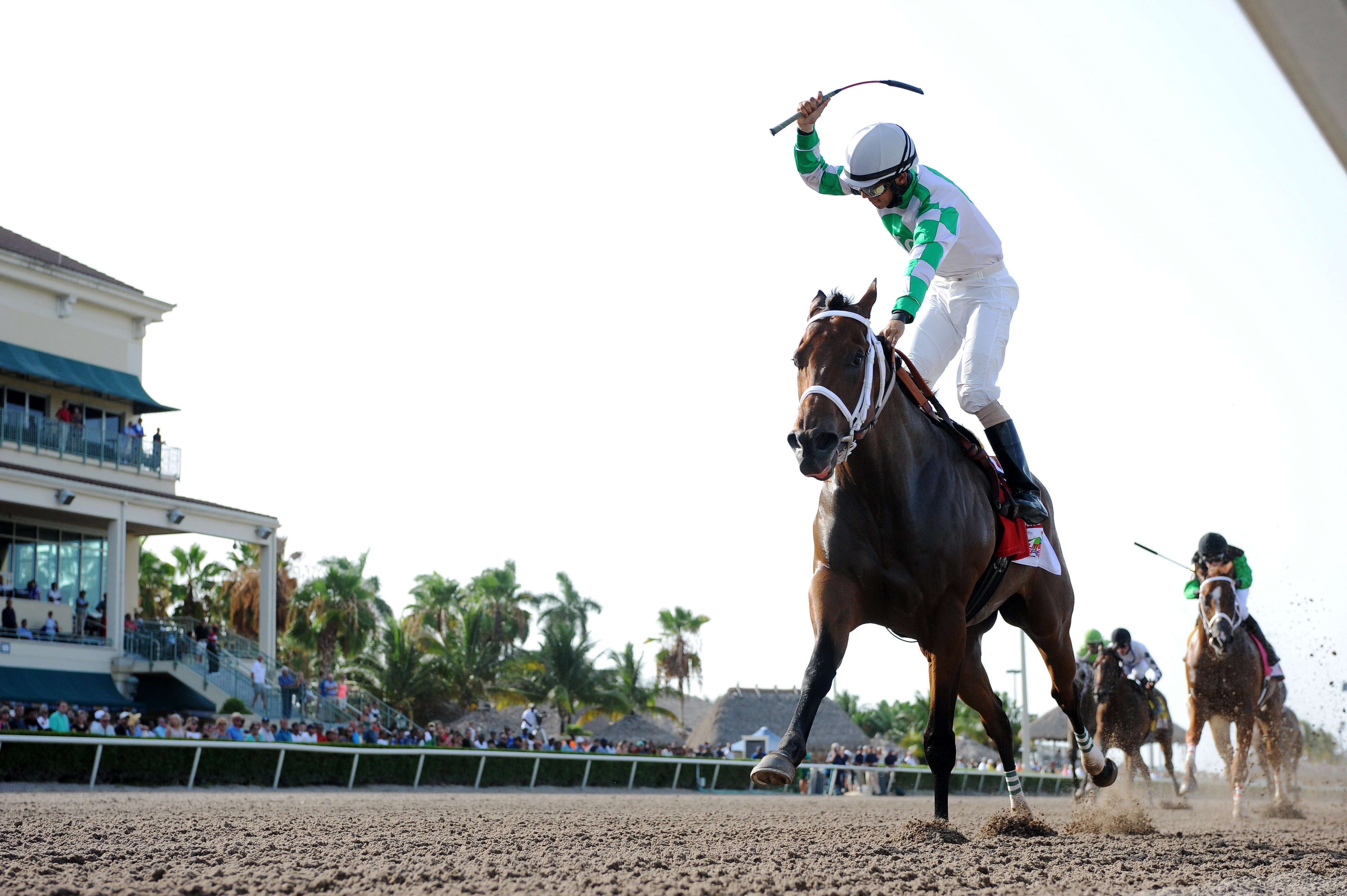 Favorite Tale wins the Smile Sprint