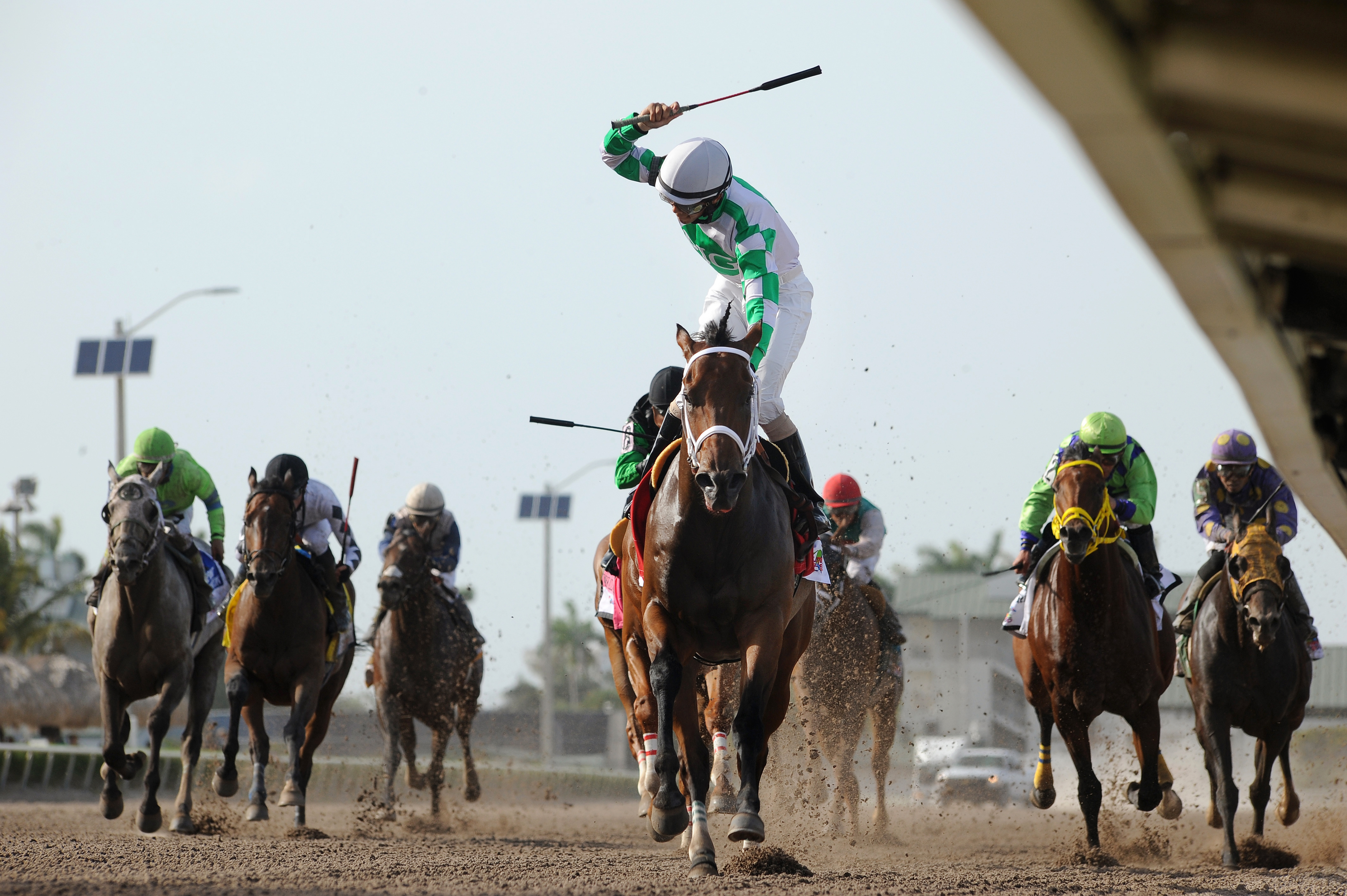 Favorite Tale wins the Smile Sprint