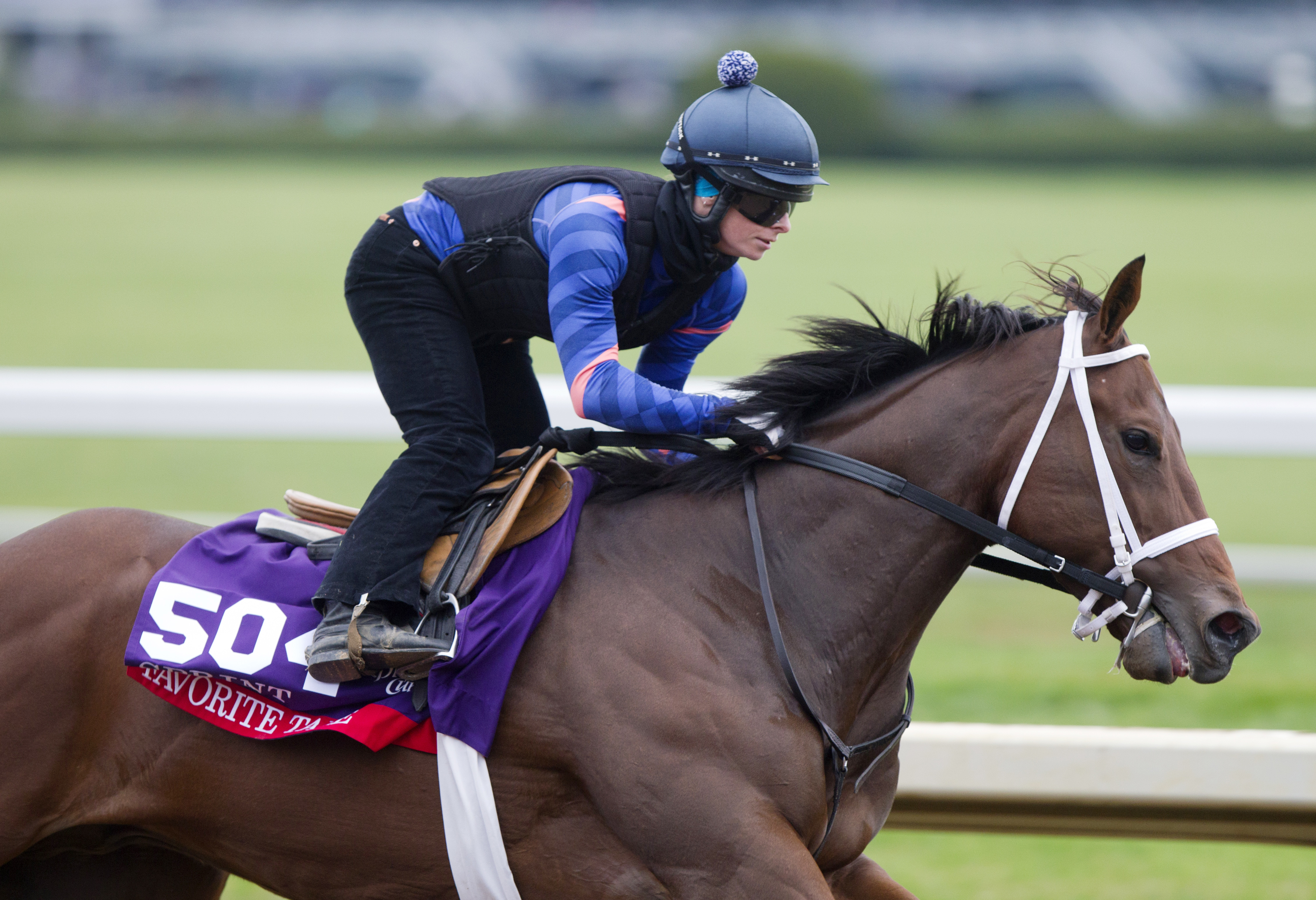 Favorite Tale trains at Keeneland before the Breeders' Cup