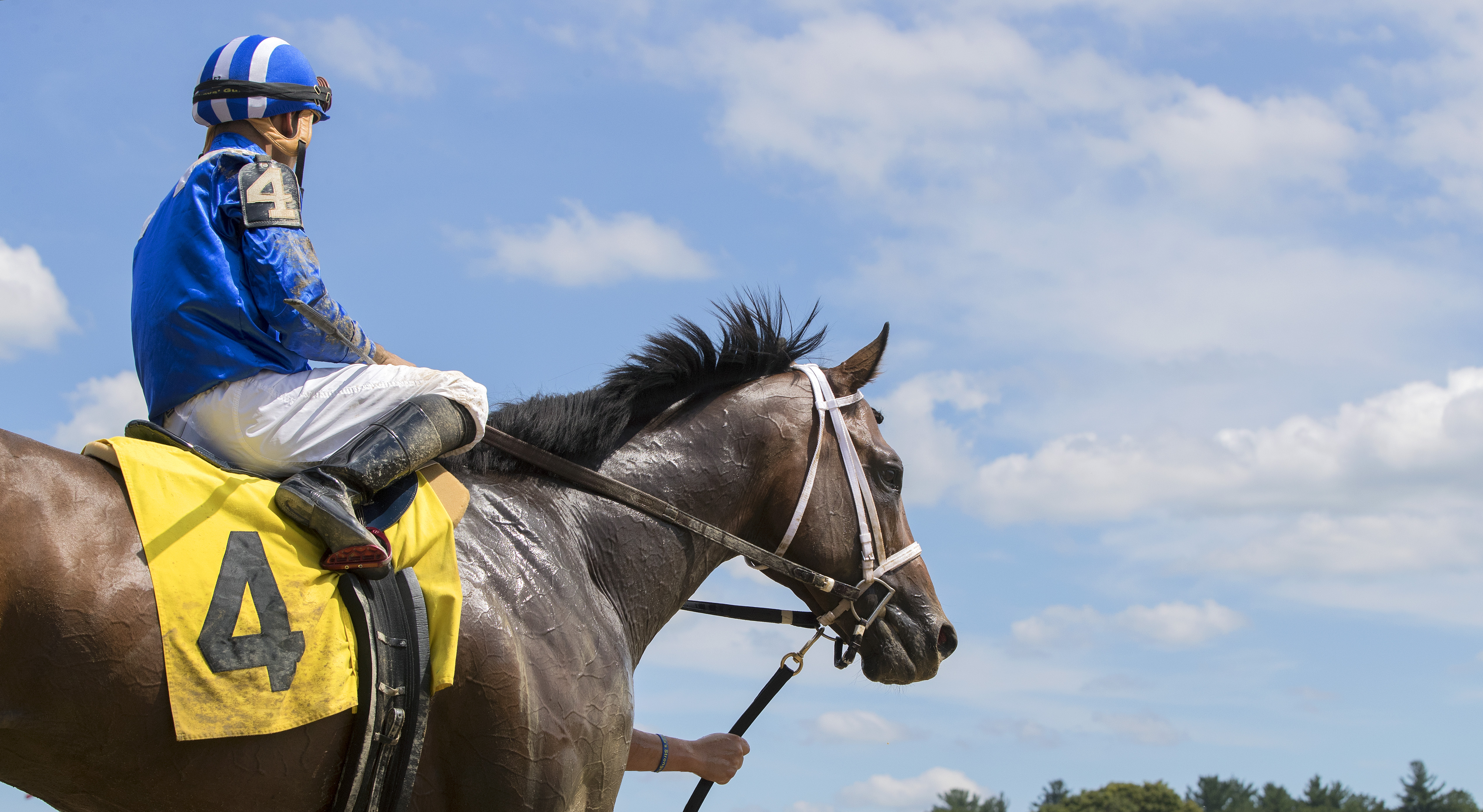 Fayeq at Saratoga on July 26, 2017