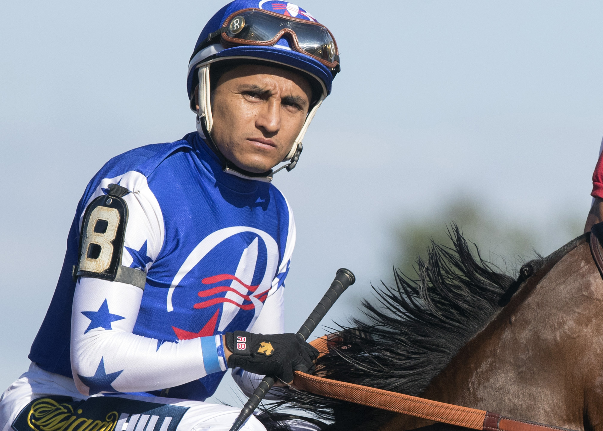 Rafael Bejarano 2017