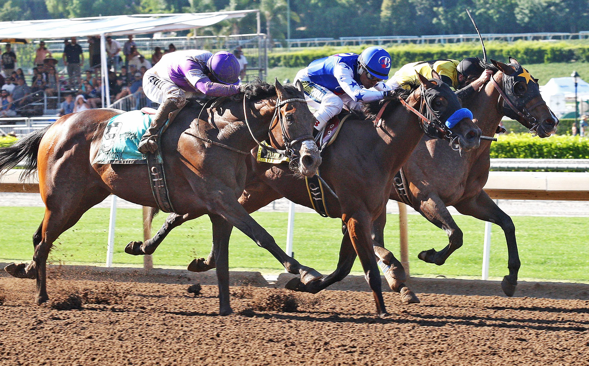Faypien wins the 2017 Summertime Oaks