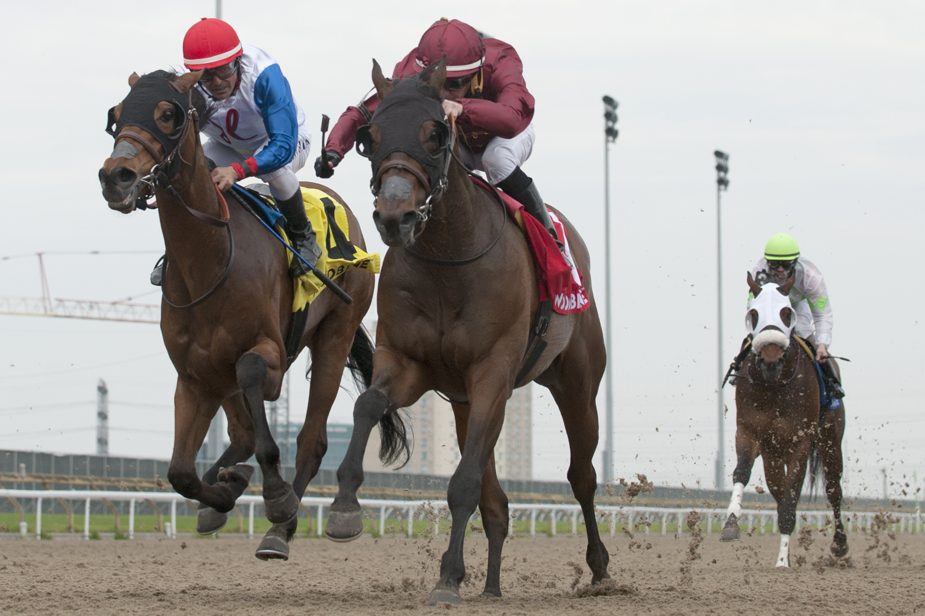 Federal Law (right) wins the 2019 Queenston Stakes