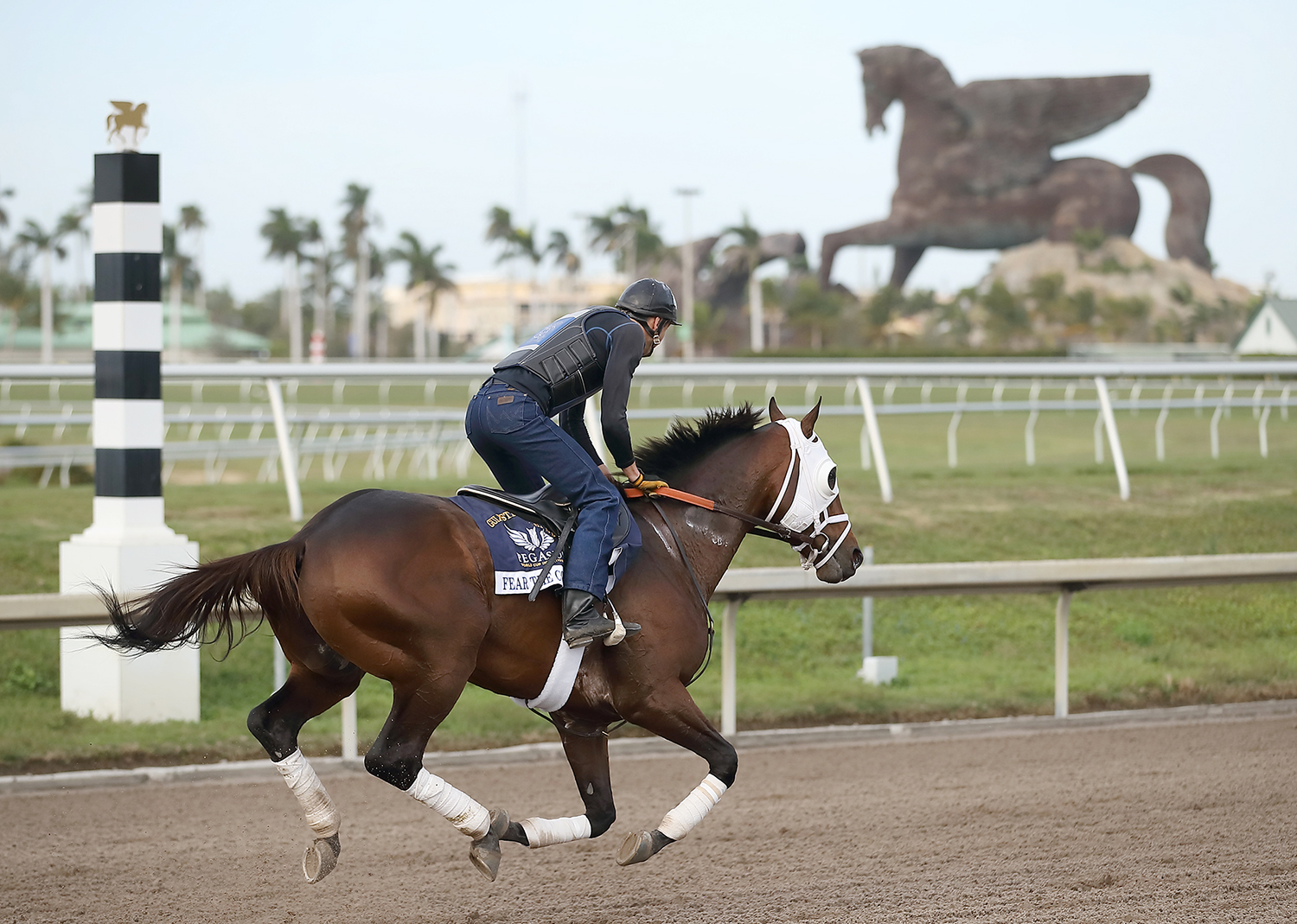 Fear the Cowboy trains at Gulfstream in January 2018
