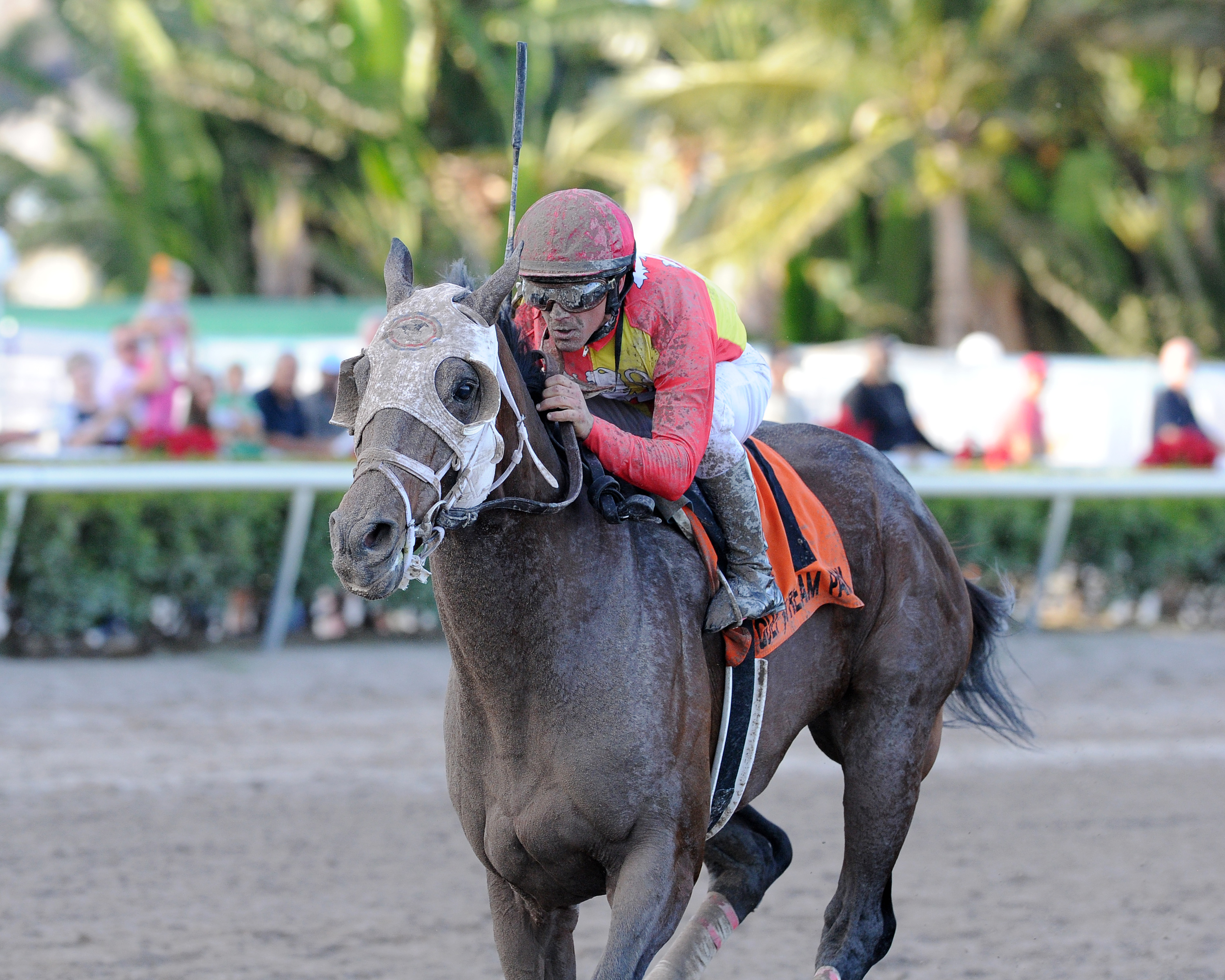 Fear the Cowboy wins 2017 Harlan's Holiday