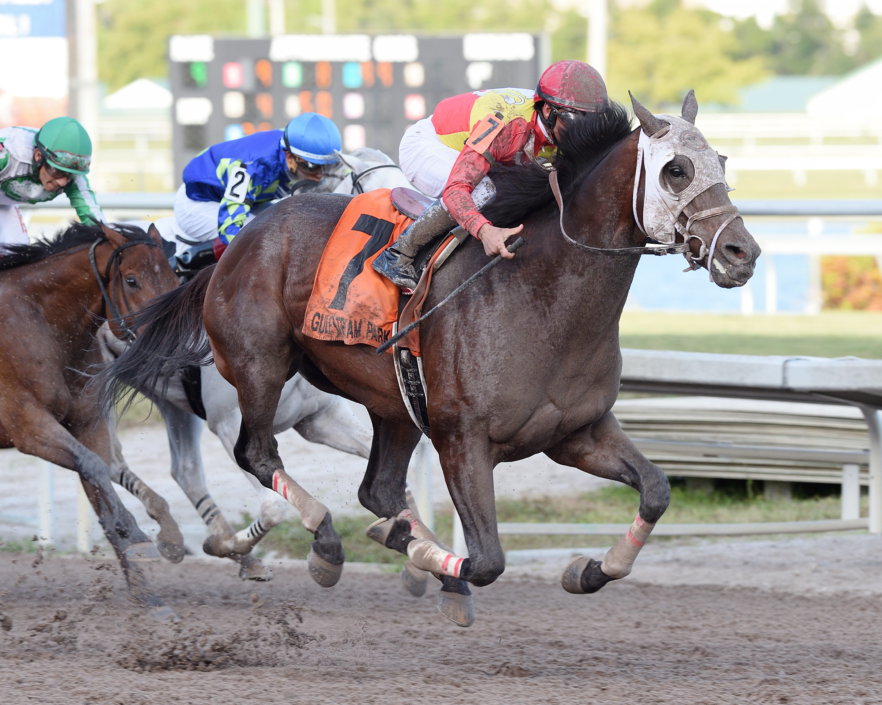 Fear the Cowboy wins the 2017 Harlan-s Holiday
