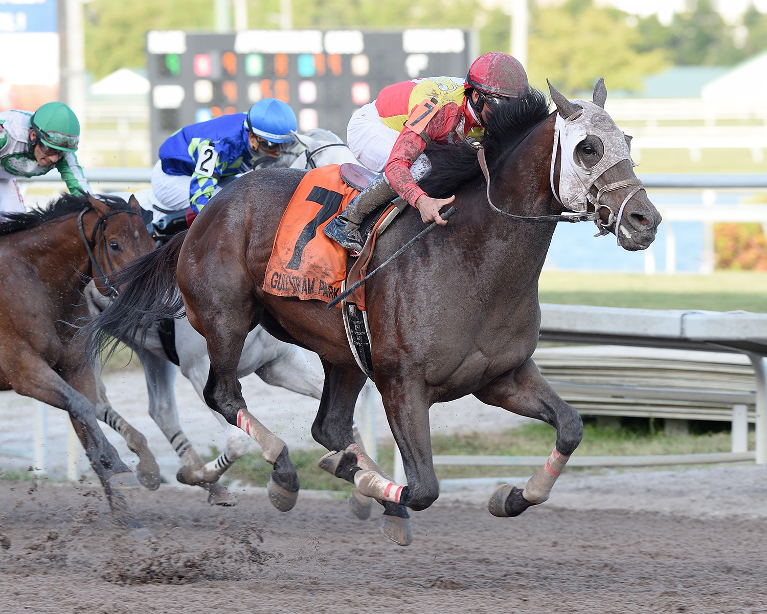 Fear the Cowboy wins the Harlan-s Holiday