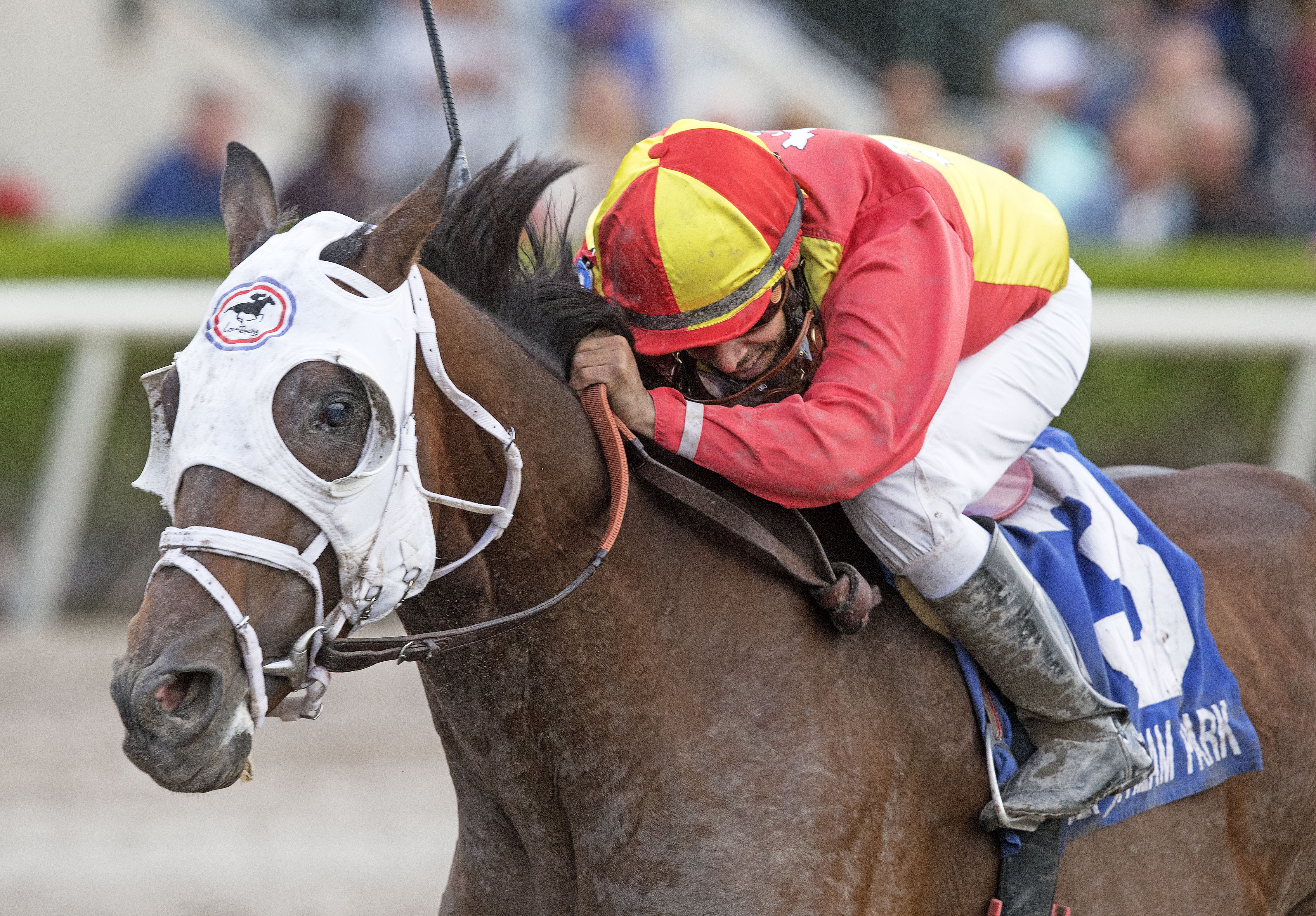 Fear the Cowboy wins the Skip Away Stakes