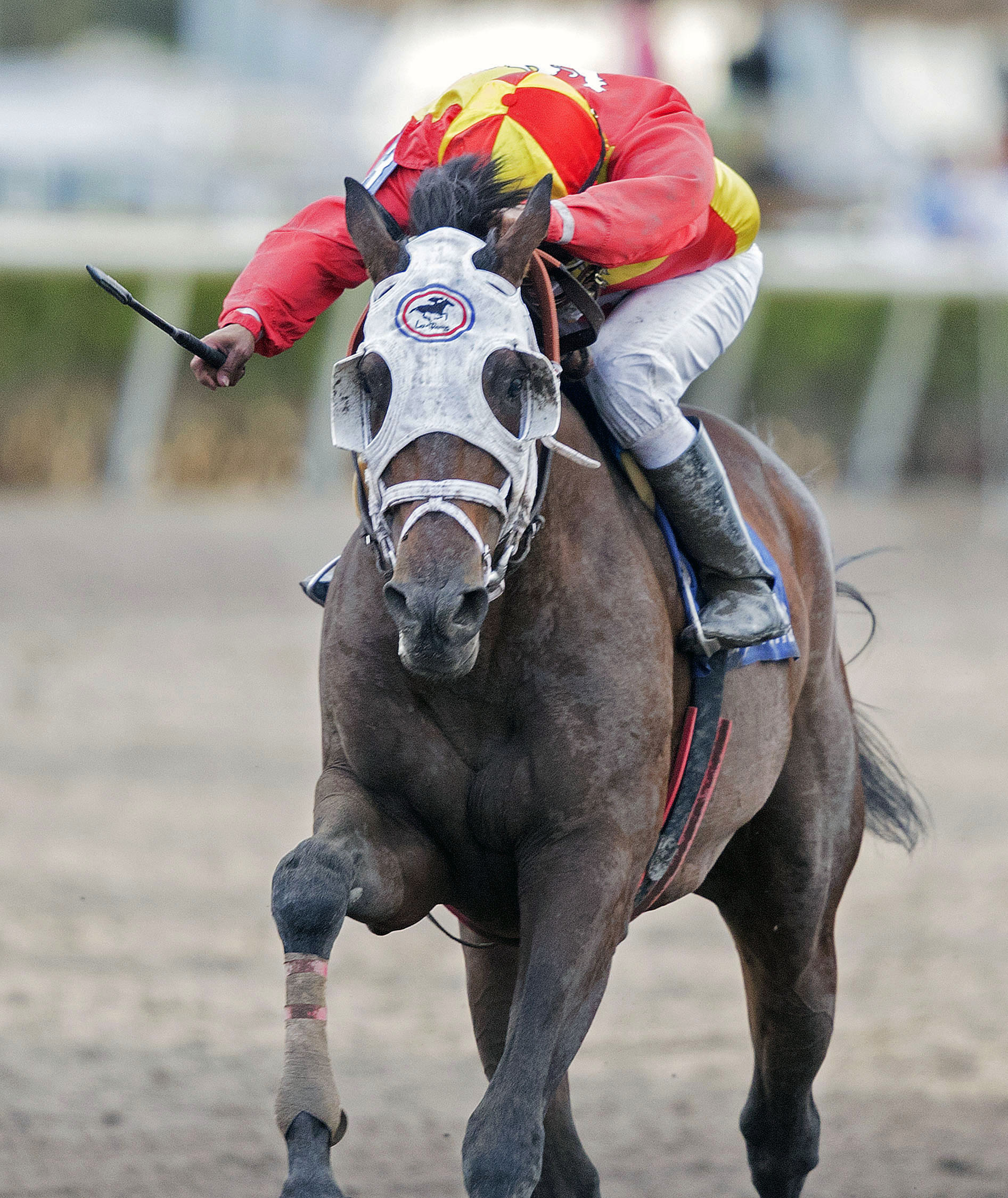 Fear the Cowboy wins the Skip Away Stakes