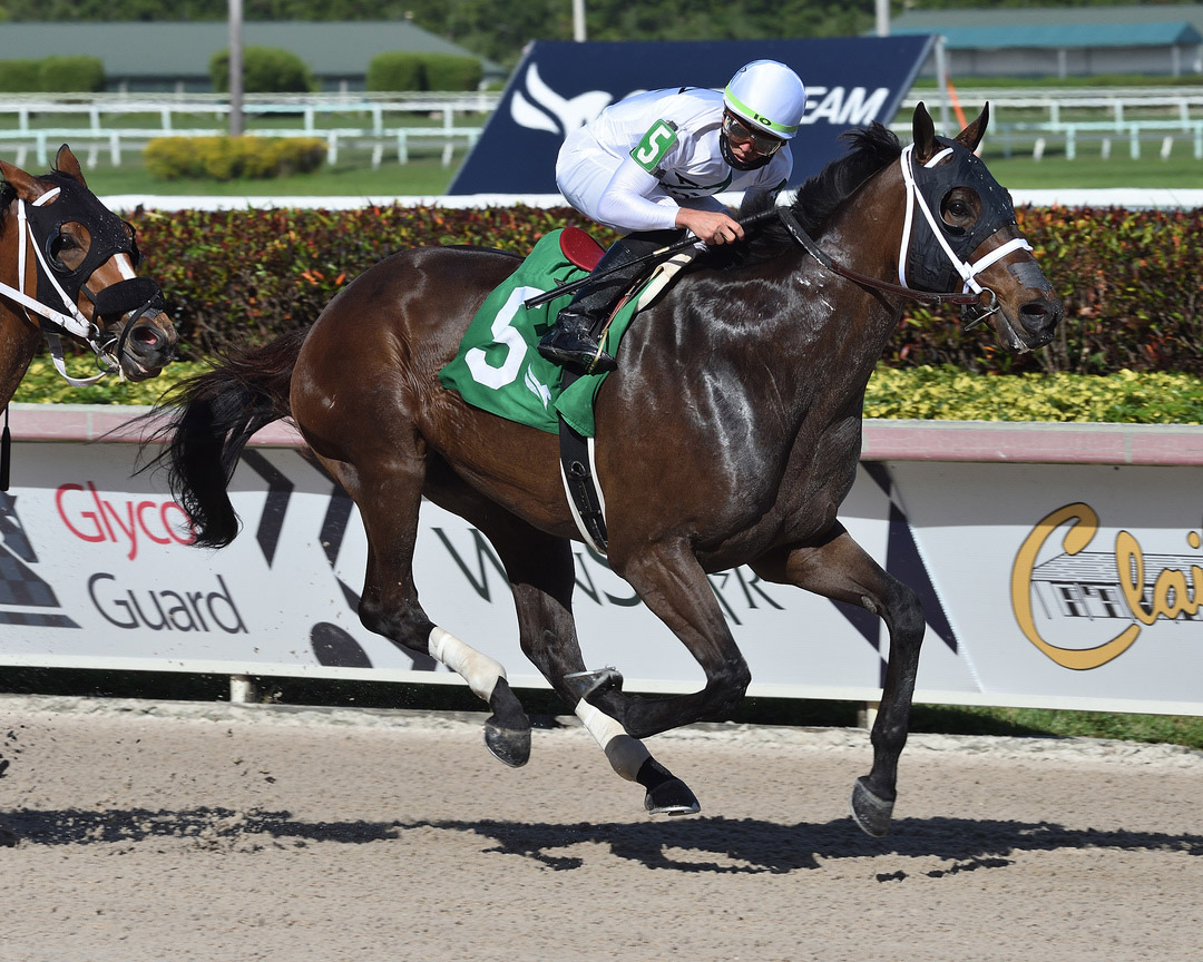 Fearless wins the 2021 Gulfstream Park Mile at Gulfstream Park