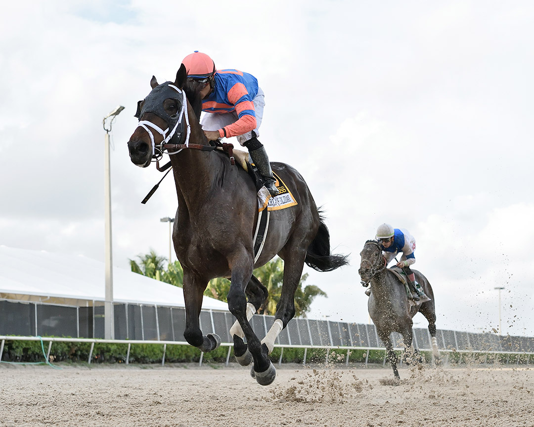 Fearless wins the 2021 Harlan's Holiday Stakes at Gulfstream Park