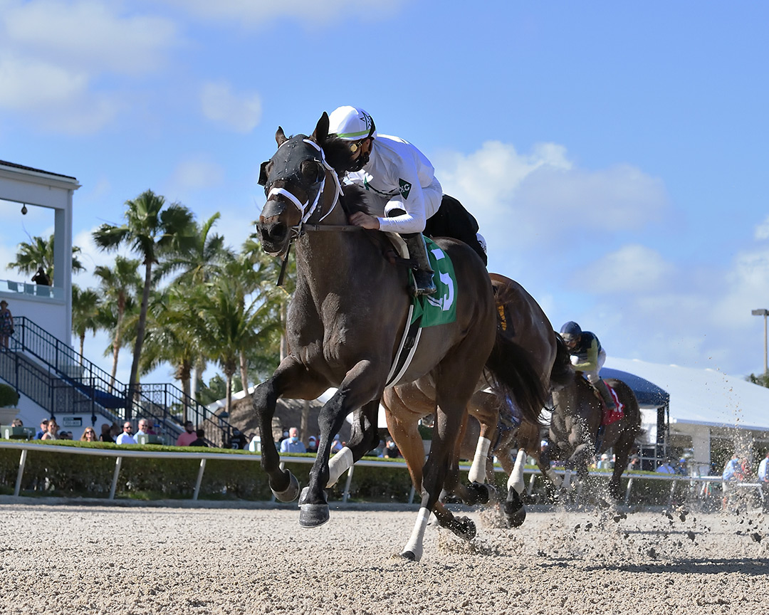 Fearless wins the 2021 Gulfstream Park Mile at Gulfstream