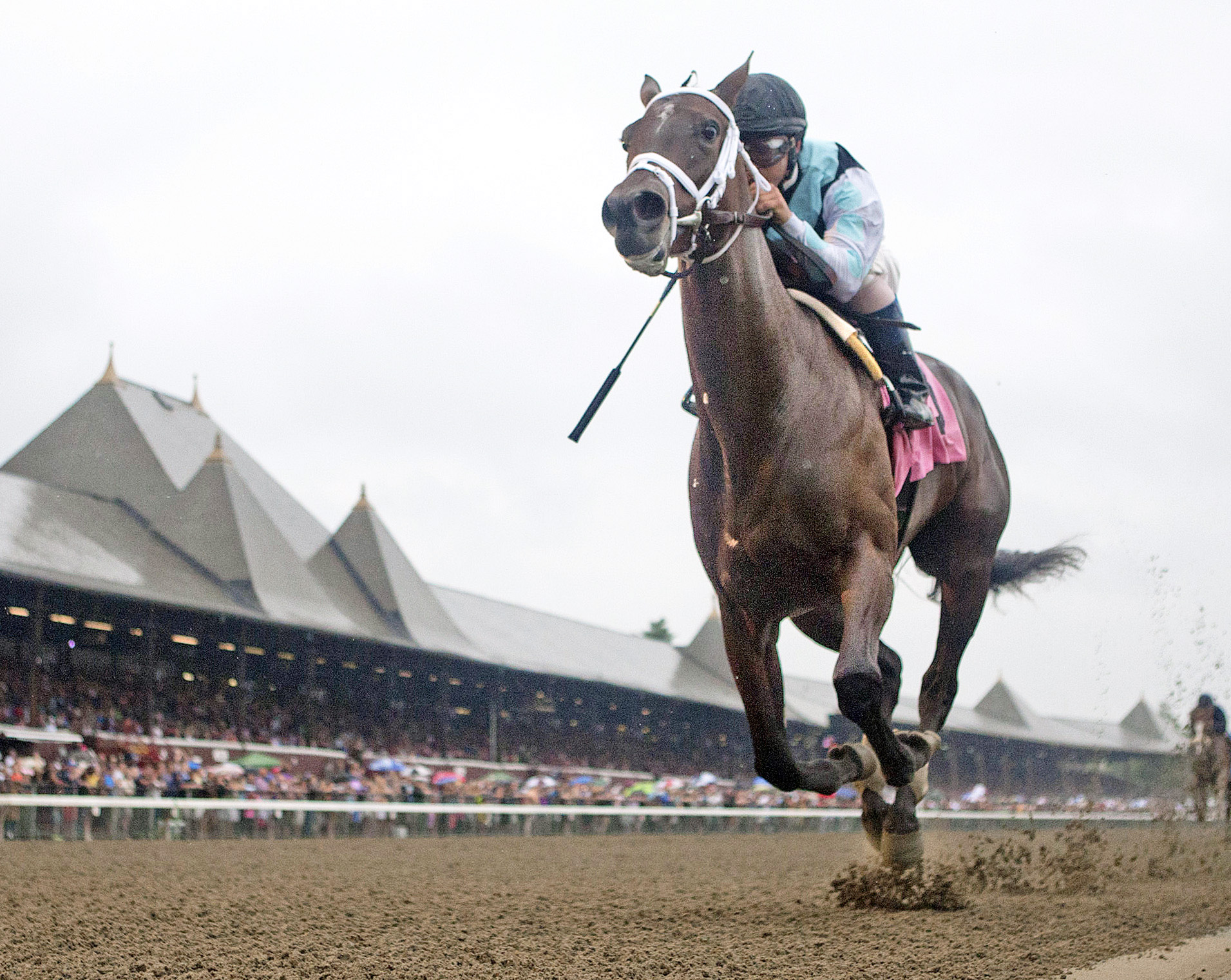 Feathered wins a maiden race