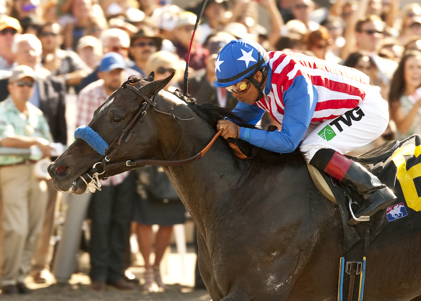 Fed Biz wins the Pat O'Brien Stakes