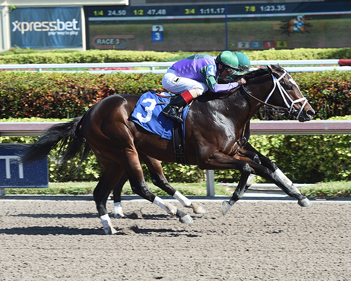Federal Case wins a Dec. 23 allowance race at Gulfstream Park