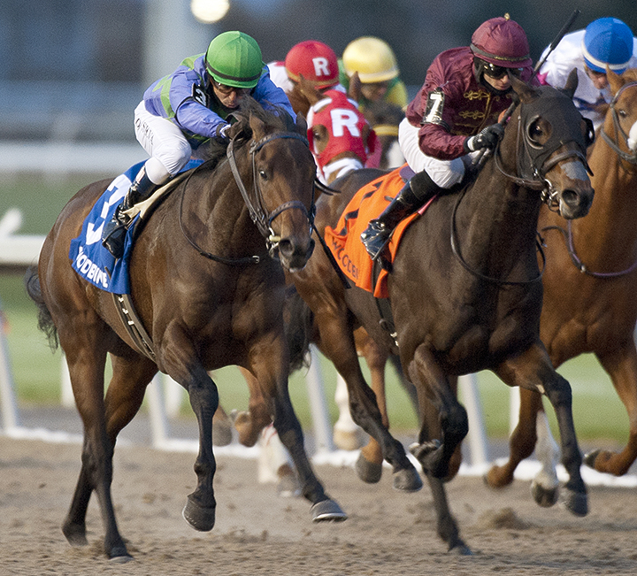 Federal Law finishes second in the 2018 Coronation Futurity