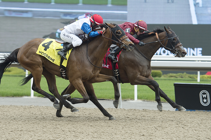 Federal Law wins the Queenston Stakes