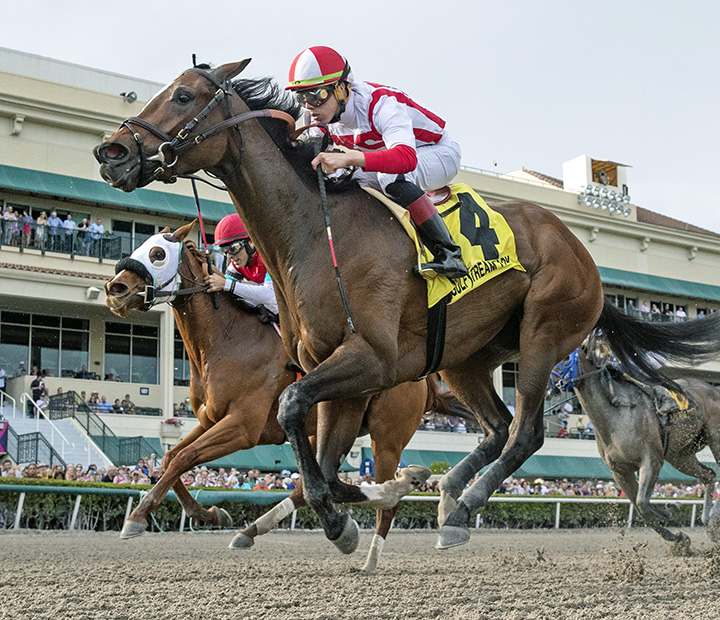 Feedback wins the Forward Gal