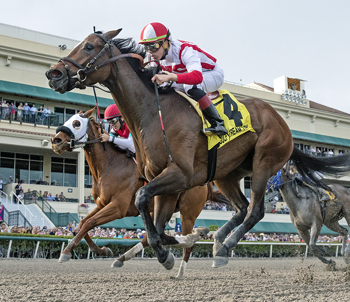 Feedback wins the 2019 Forward Gal Stakes at Gulfstream