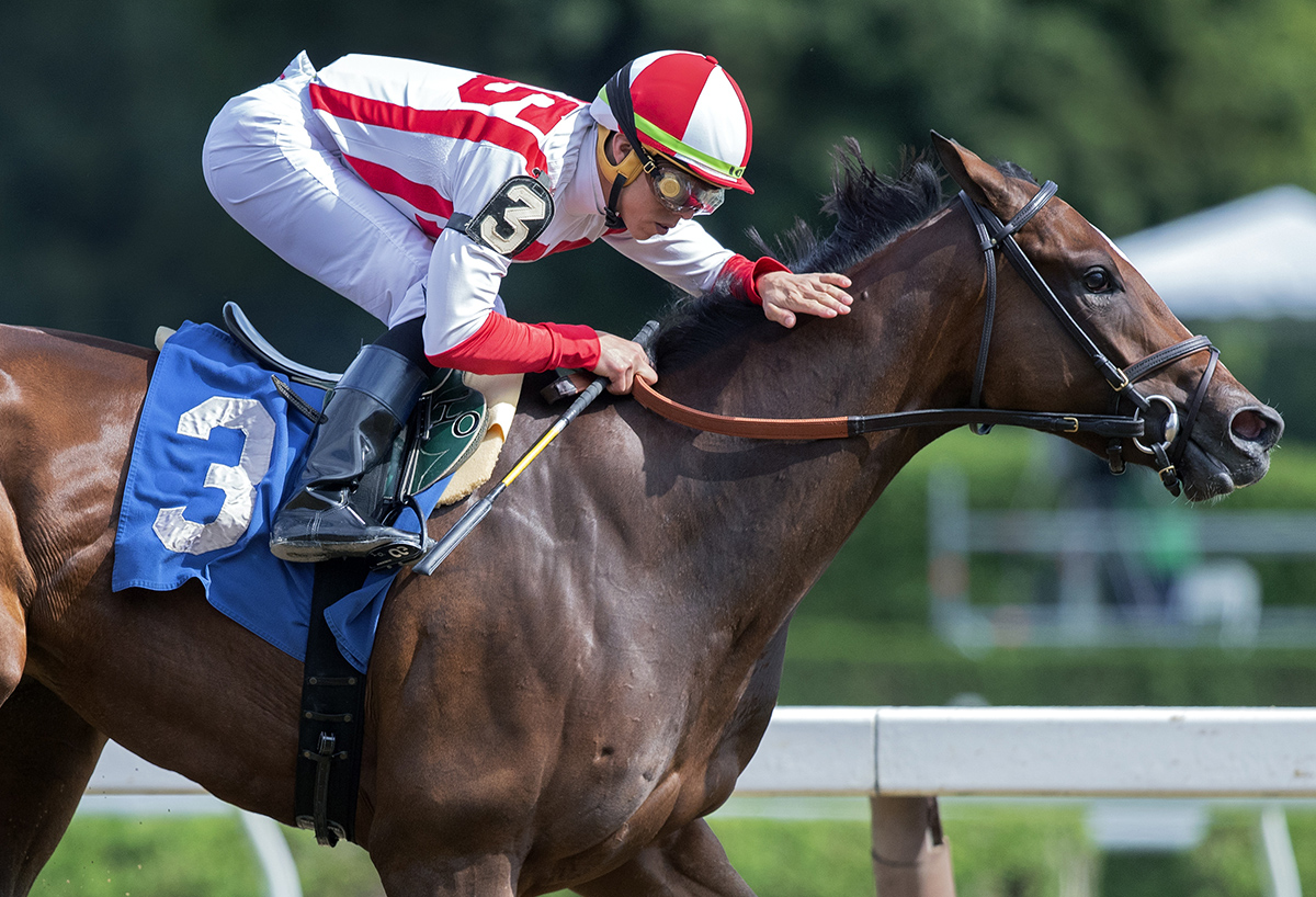 Feedback wins an Aug. 12 maiden race