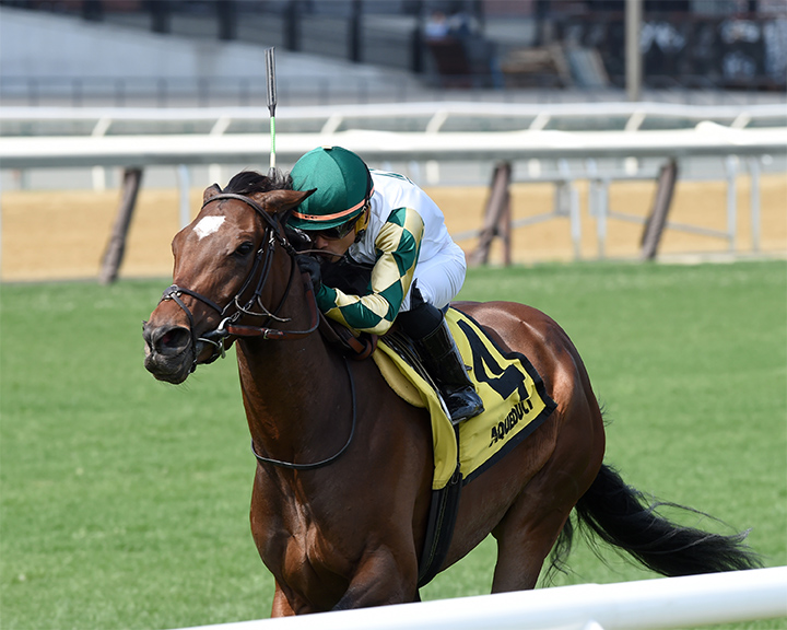 Feel Glorious wins the 2019 Memories of Silver