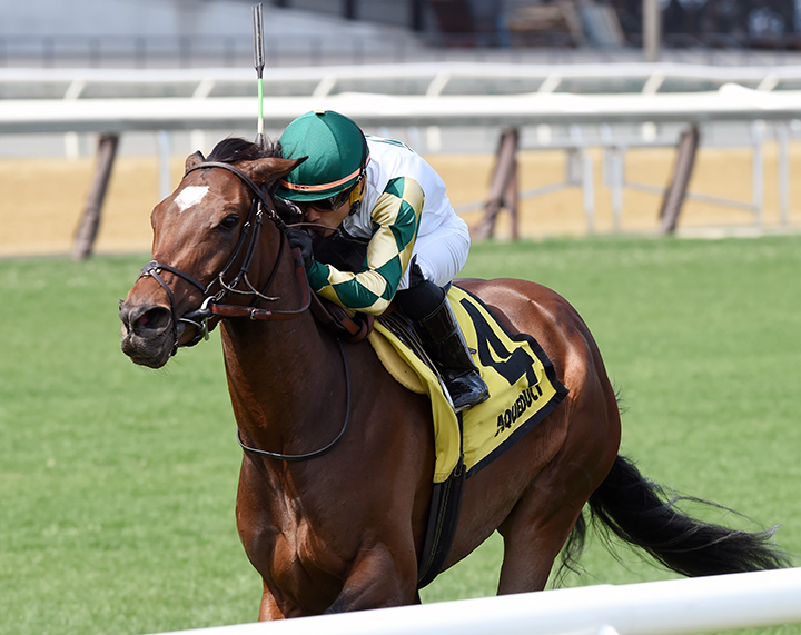 Feel Glorious wins the 2019 Memories of Silver Stakes at Aqueduct Racetrack