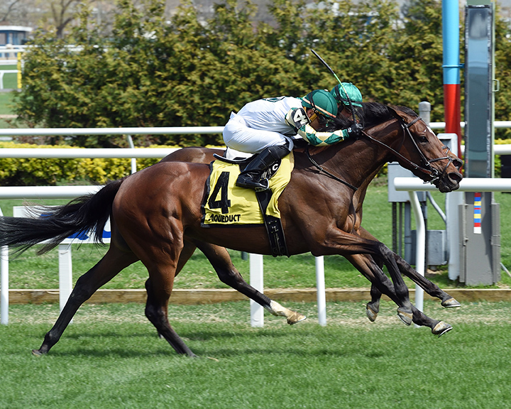 Feel Glorious (4) wins the 2019 Memories of Silver Stakes at Aqueduct Racetrack