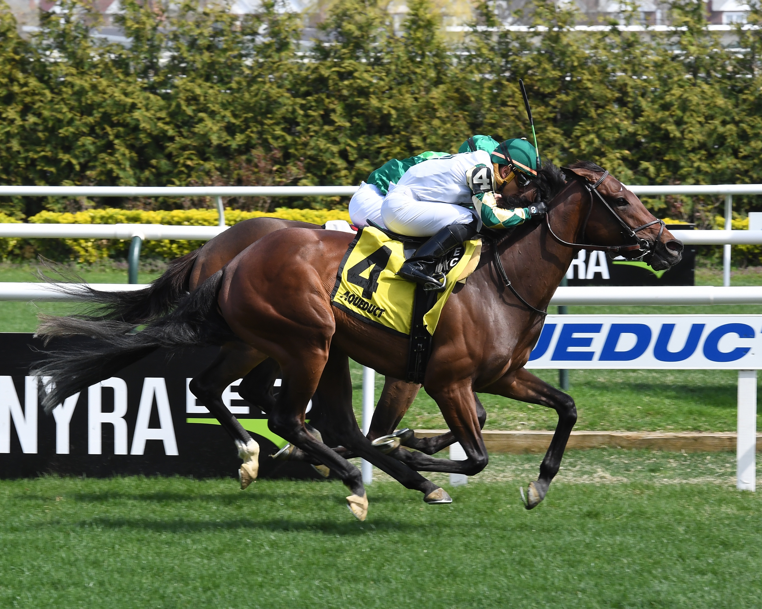 Feel Glorious wins the 2019 Memories of Silver Stakes