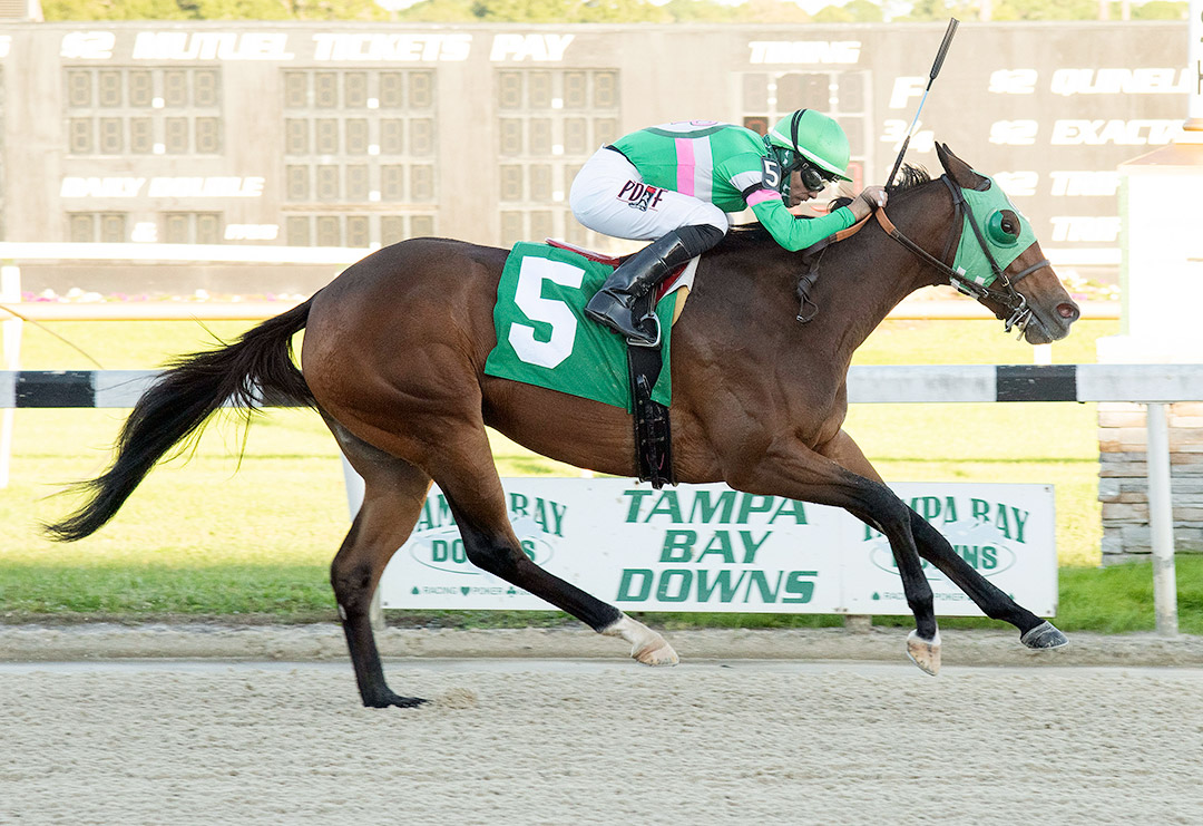 Feeling Mischief wins the 2020 Sandpiper Stakes at Tampa Bay Downs