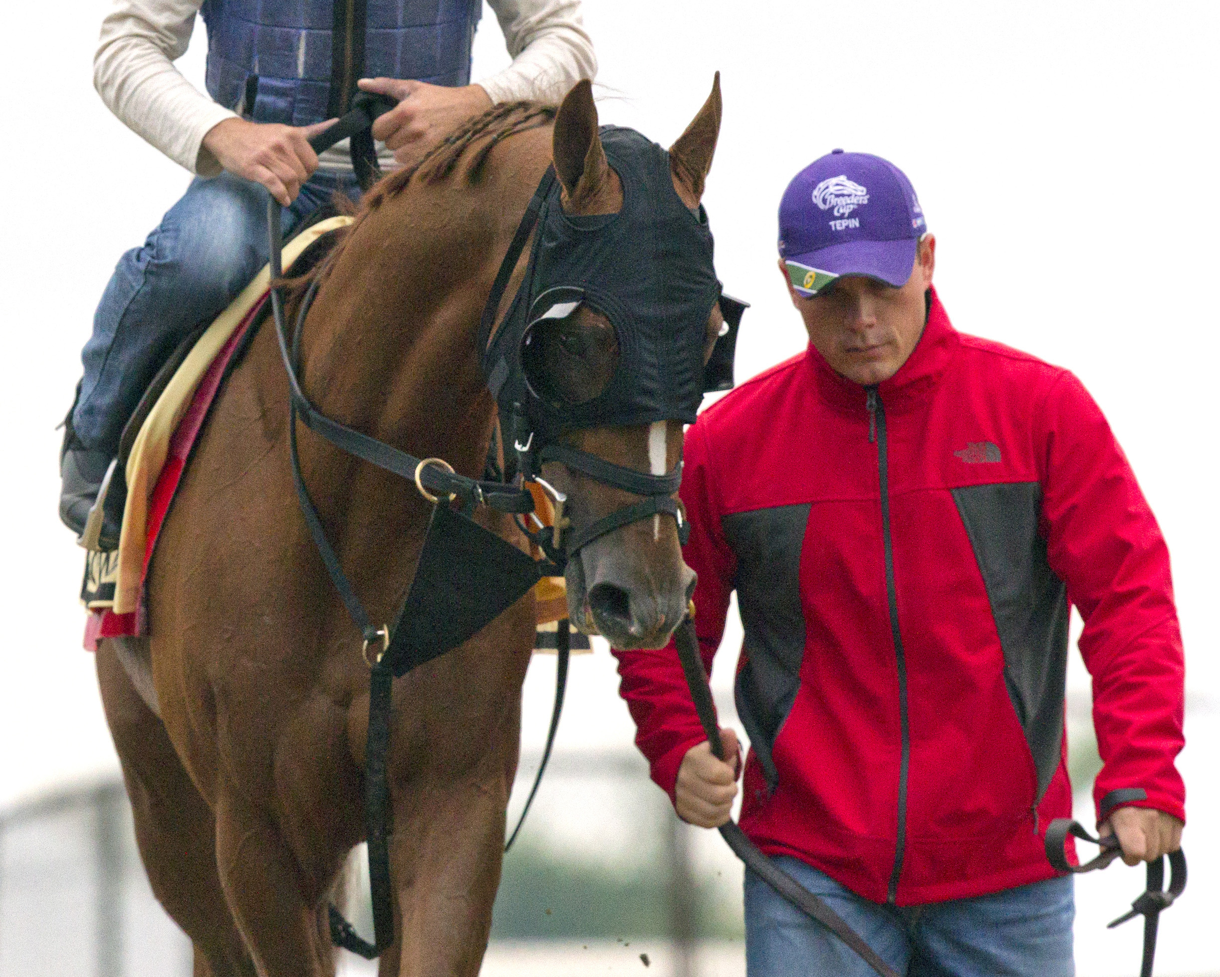 Preakness: This time, Fellowship is in