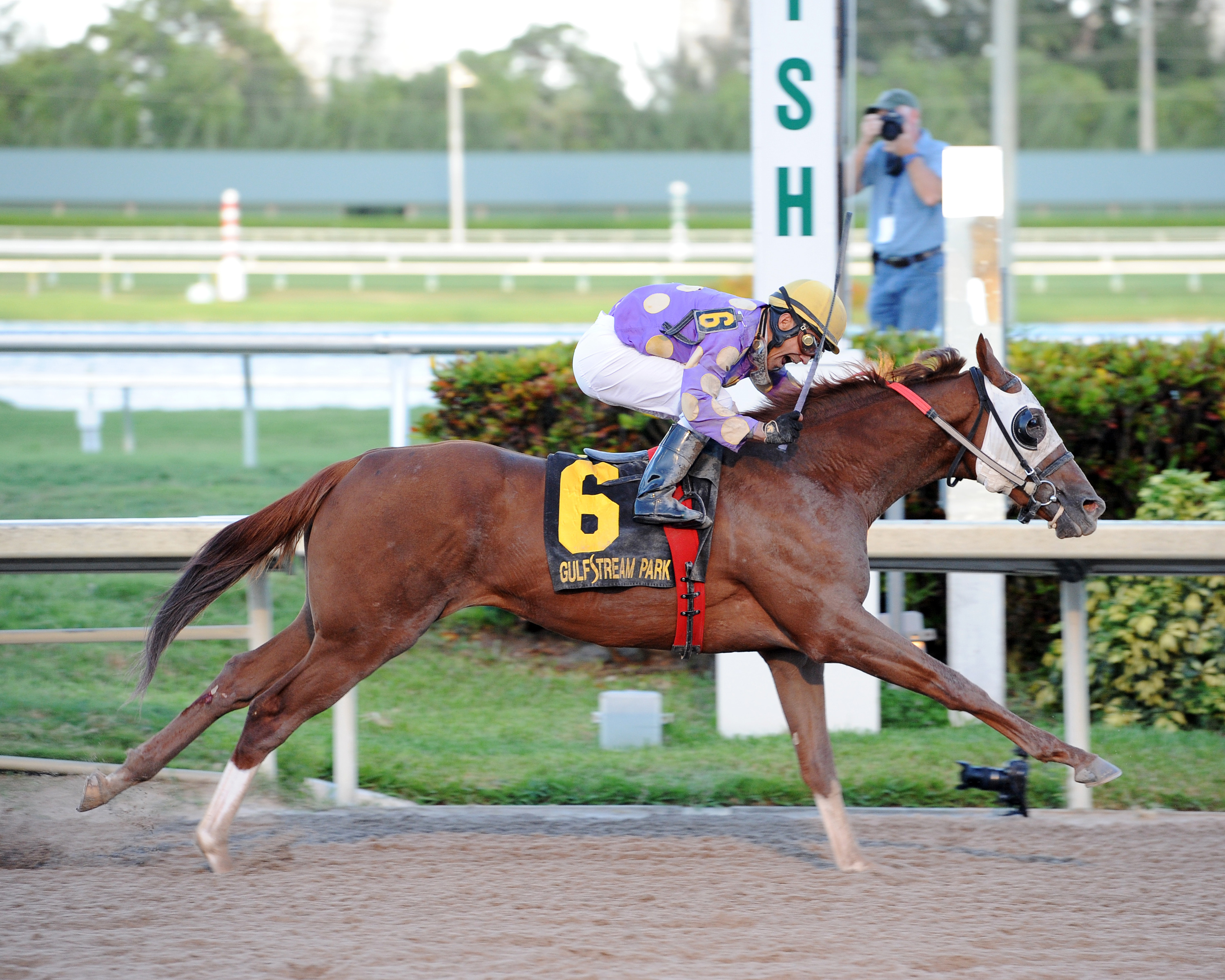 Fellowship wins the Florida Sire In Reality Stakes
