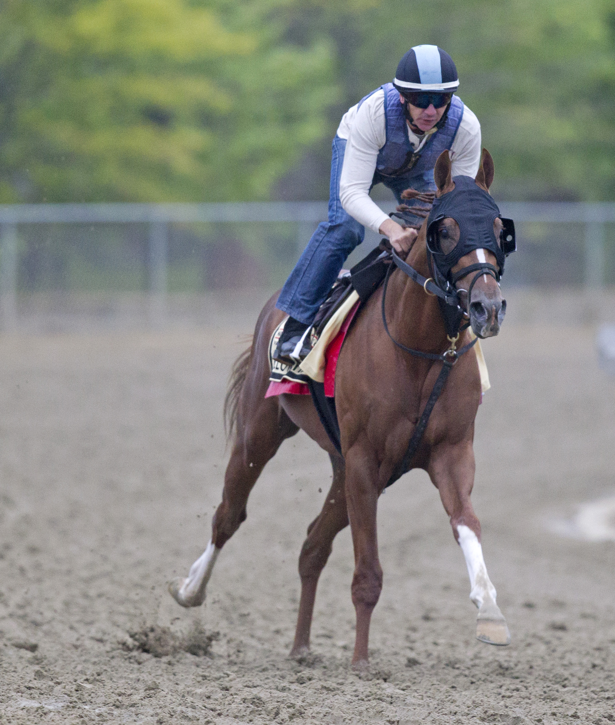 Fellowship at Pimlico on May 18